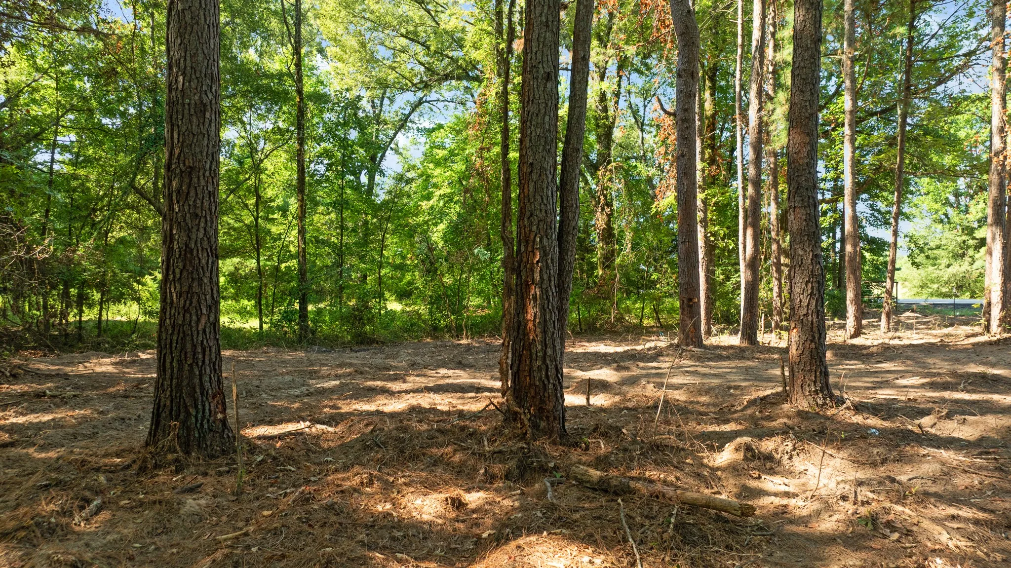 Improved Land For Sale in Red River (TX) County , 75 HWY 37 NORTH, Clarksville, Texas 75426, 0, 0, Garage spaces, 0 Sqft, built in 0, Price $420,000, mls#21358614, Real Estate Agent in Clarksville, Homes For Sale in Red River (TX) county, Homes For Sale in Clarksville, Realtor in Clarksville Texas, Real Estate Brokerage Independent Realty Texas, Luminita Cordes Realtor