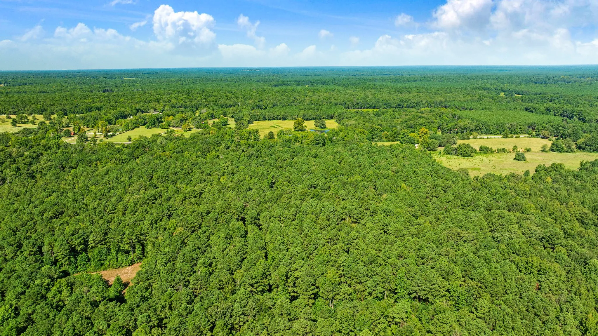 Improved Land For Sale in Red River (TX) County , 75 HWY 37 NORTH, Clarksville, Texas 75426, 0, 0, Garage spaces, 0 Sqft, built in 0, Price $420,000, mls#21358614, Real Estate Agent in Clarksville, Homes For Sale in Red River (TX) county, Homes For Sale in Clarksville, Realtor in Clarksville Texas, Real Estate Brokerage Independent Realty Texas, Luminita Cordes Realtor