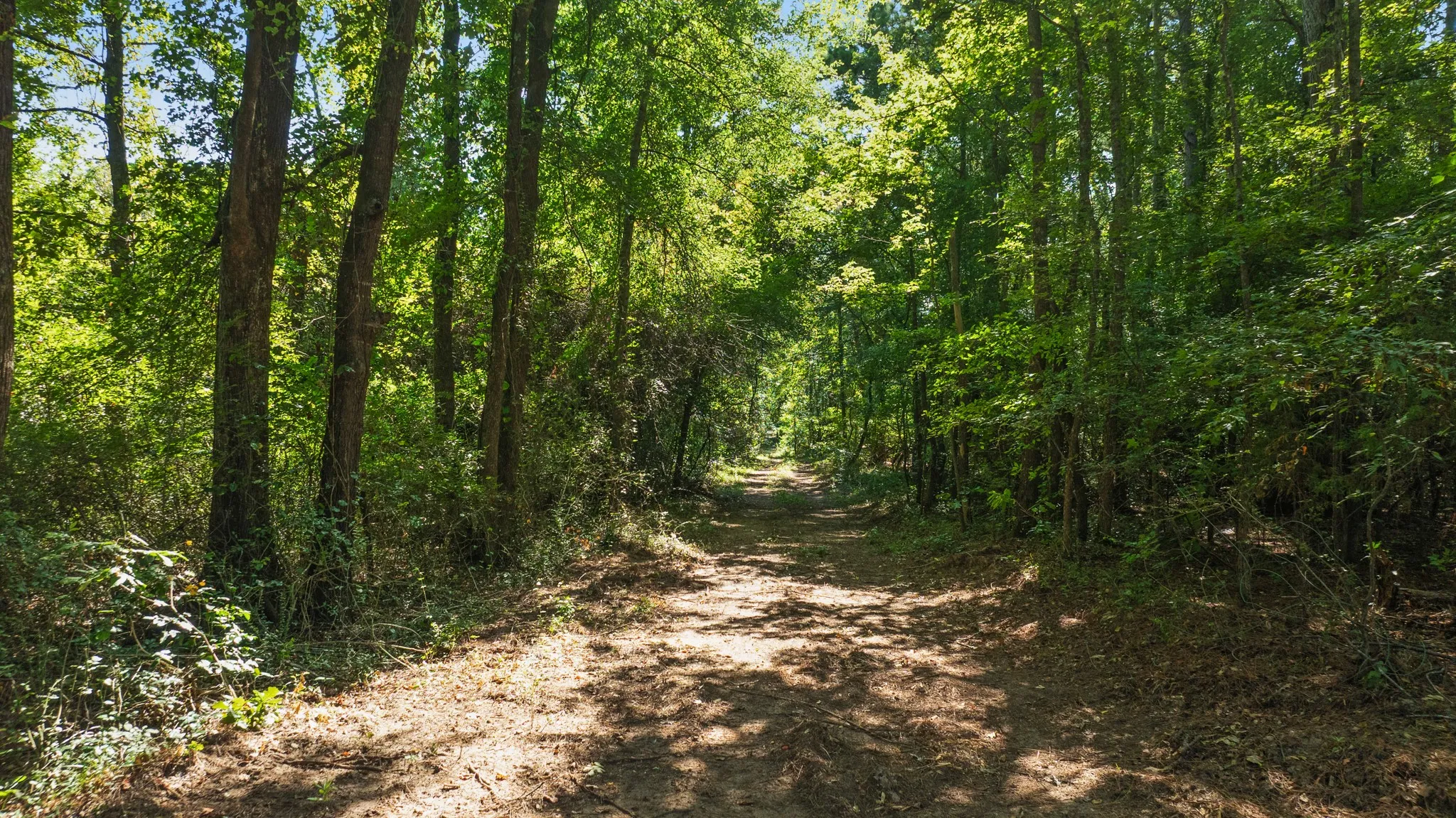 Improved Land For Sale in Red River (TX) County , 75 HWY 37 NORTH, Clarksville, Texas 75426, 0, 0, Garage spaces, 0 Sqft, built in 0, Price $420,000, mls#21358614, Real Estate Agent in Clarksville, Homes For Sale in Red River (TX) county, Homes For Sale in Clarksville, Realtor in Clarksville Texas, Real Estate Brokerage Independent Realty Texas, Luminita Cordes Realtor