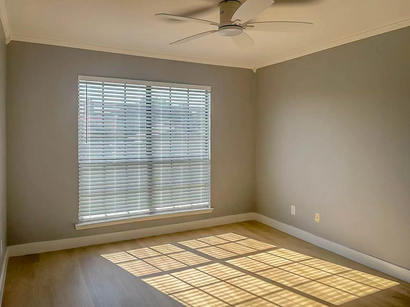 Room featuring wood-finish flooring, a ceiling fan, crown molding, and a window with blinds