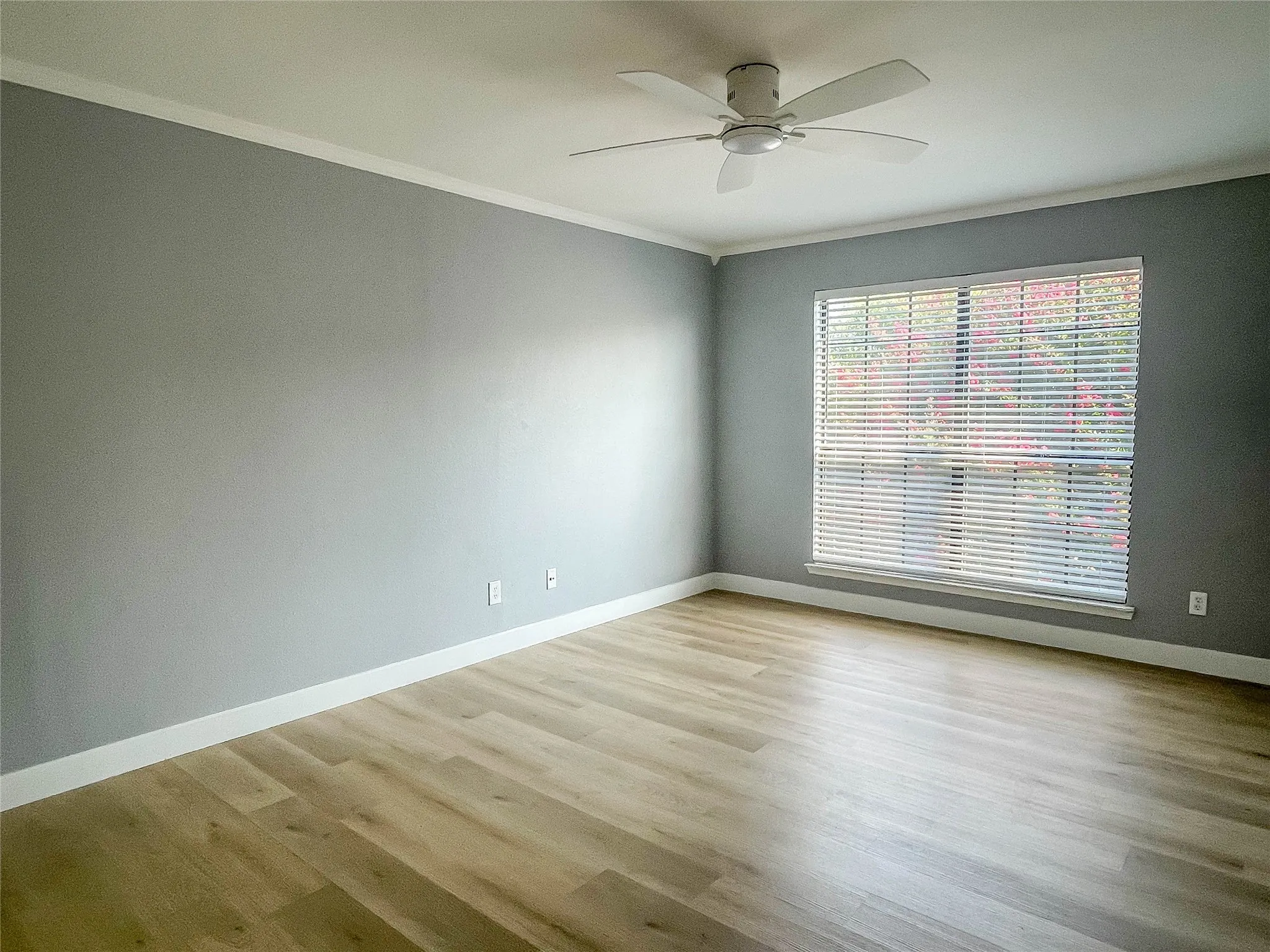 Wood-finish flooring, neutral gray walls, white crown molding, ceiling fan, and a large window with blinds