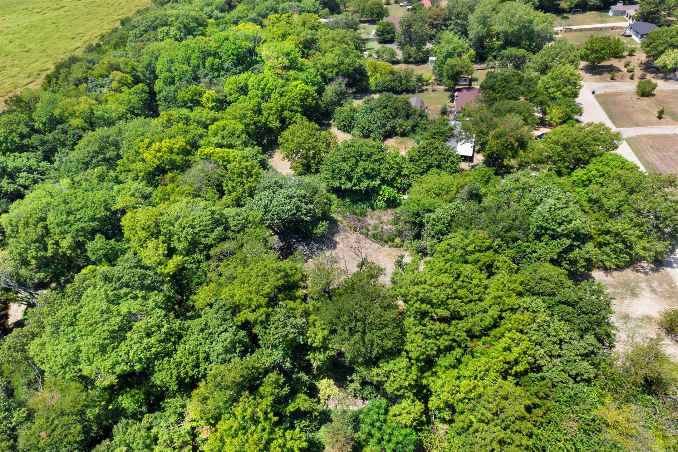 Improved Land For Sale in Ellis County , 261 Rocky Drive, Waxahachie, Texas 75167, 0, 0, Garage spaces, 0 Sqft, built in 2005, mls#21358137, Real Estate Agent in Waxahachie, Homes For Sale in Ellis county, Homes For Sale in Waxahachie, Realtor in Waxahachie Texas, Real Estate Brokerage Independent Realty Texas, Luminita Cordes Realtor