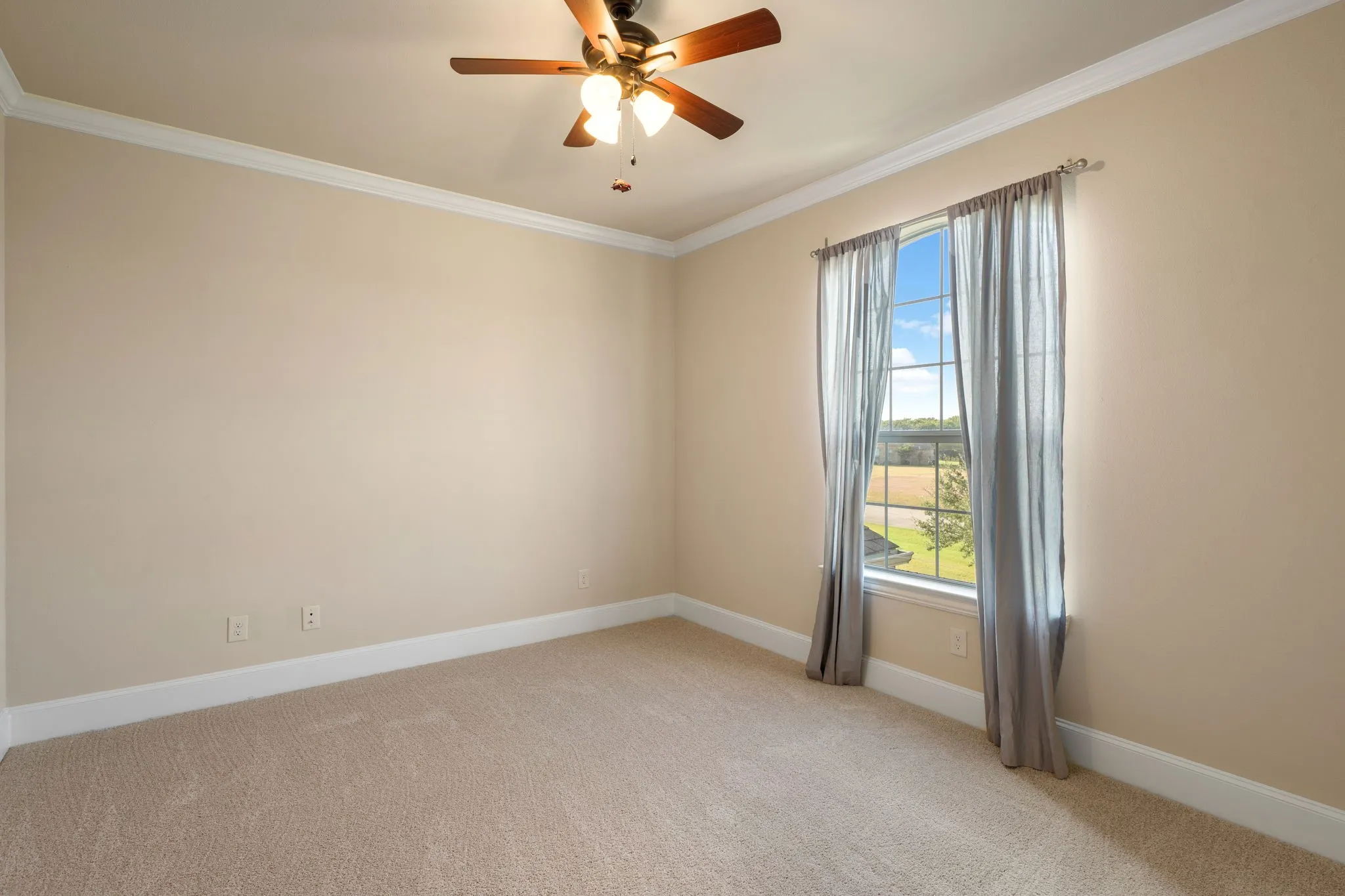 Neutral wall paint, ceiling fan, crown molding, white trim, and carpeted flooring