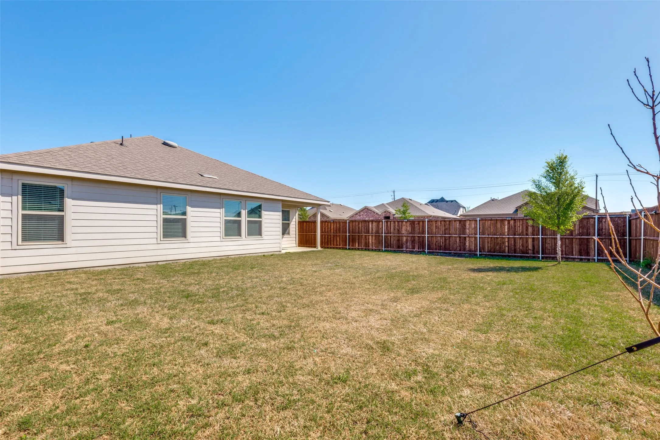 Expansive backyard featuring a wood fence, a young tree, and a concrete patio