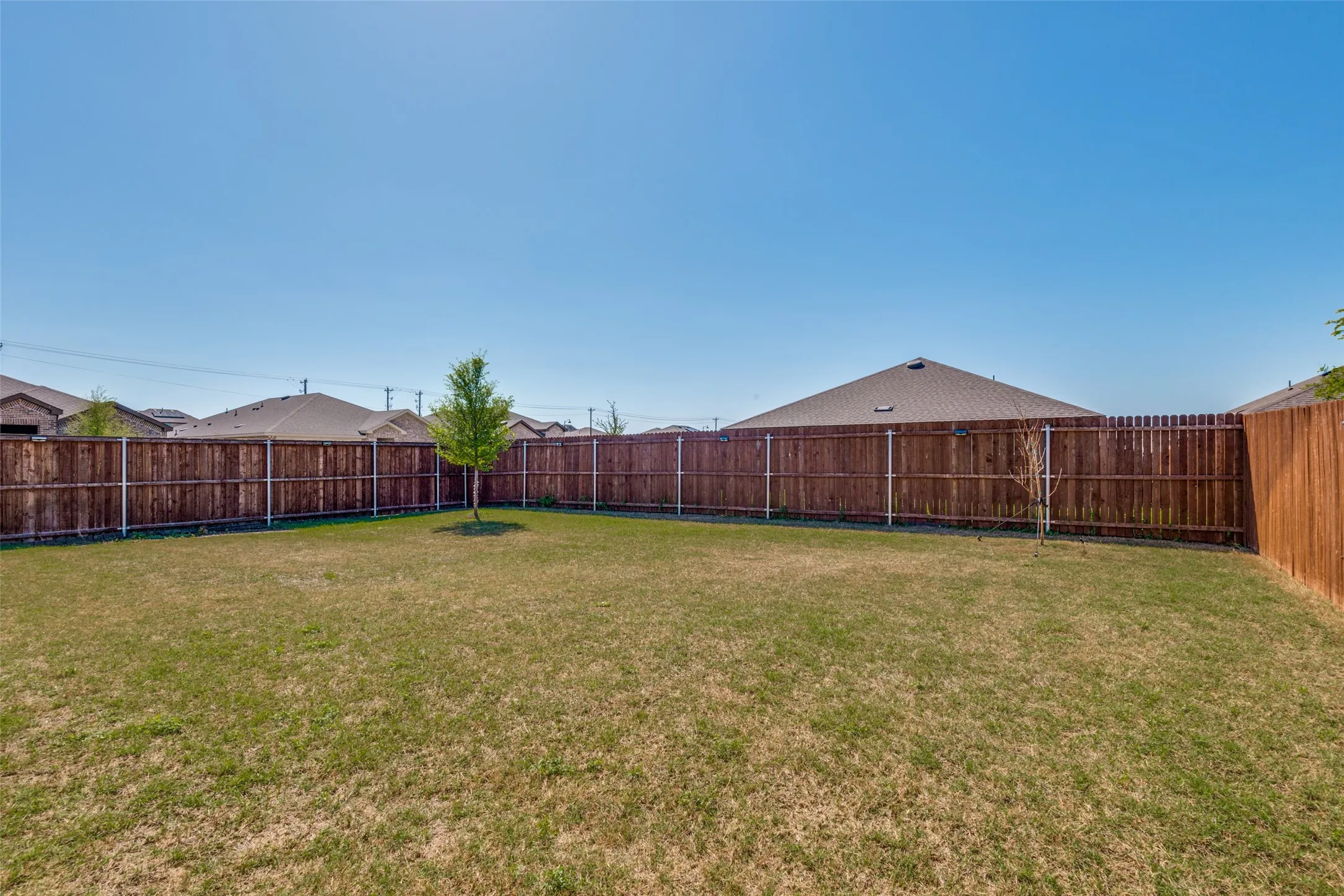 Expansive grassy yard area featuring a young tree and full perimeter wood fencing