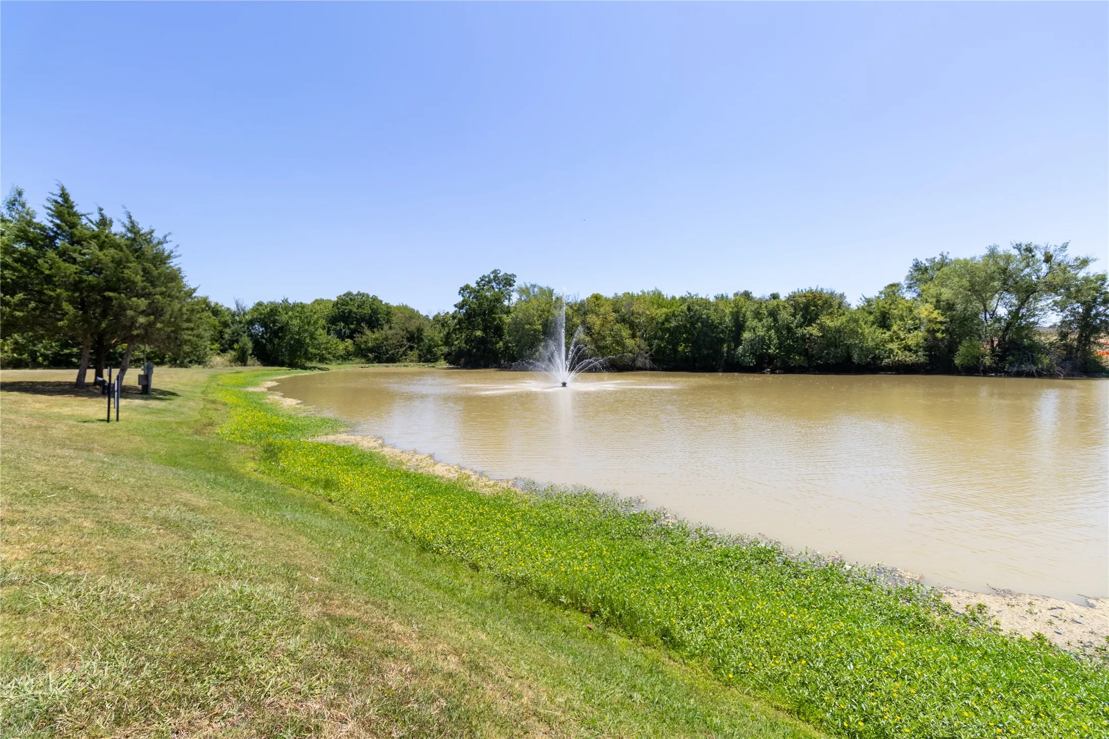 Pond next to the playground