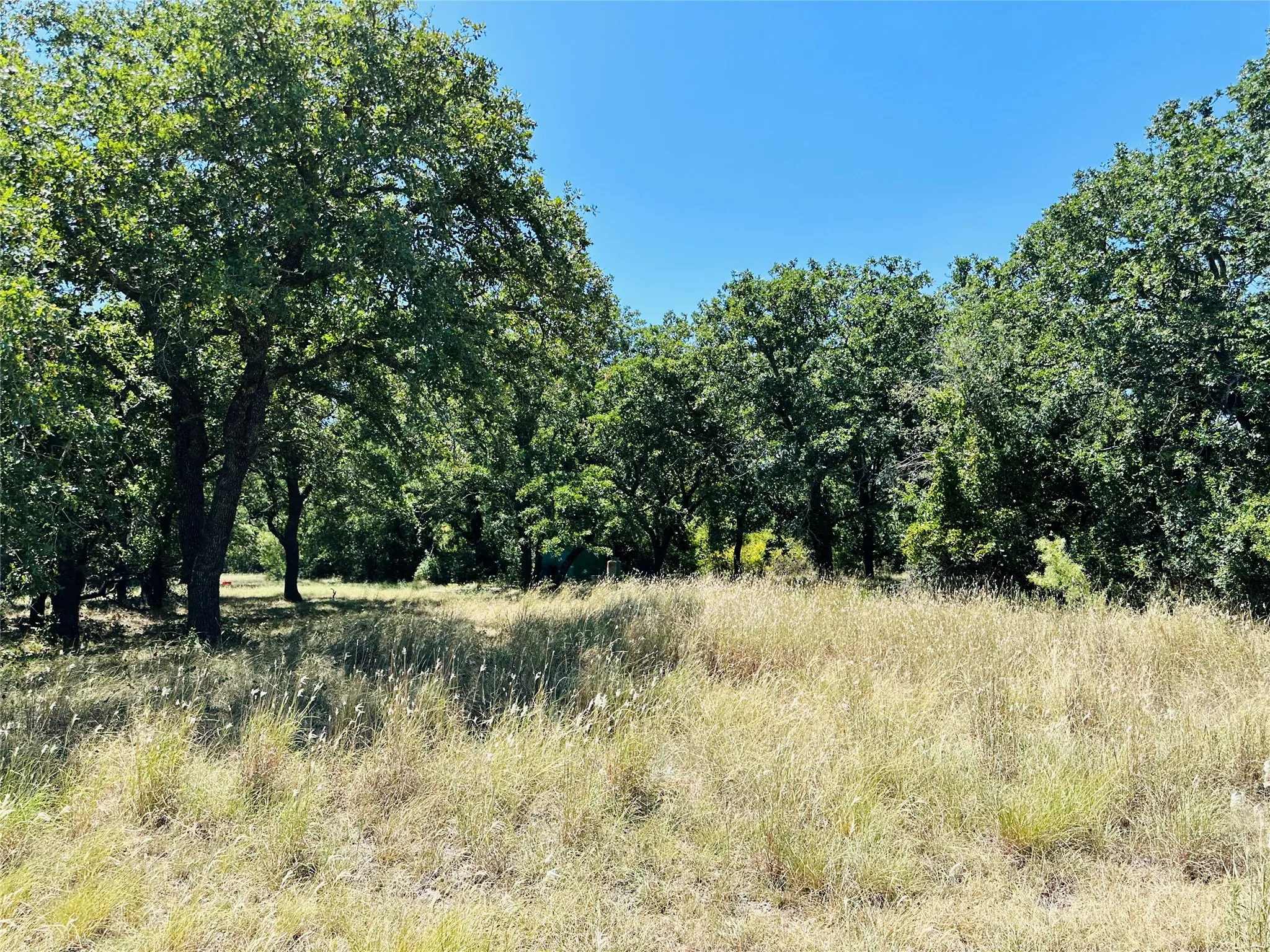 Single Family Residence For Sale in Brown County , 1020 Pleasant Valley Road, May, Texas 76857, 1 Bedroom, 1 Bathroom, Garage spaces, 576 Sqft, built in 2004, mls#21359378, Real Estate Agent in May, Homes For Sale in Brown county, Homes For Sale in May, Realtor in May Texas, Real Estate Brokerage Independent Realty Texas, Luminita Cordes Realtor