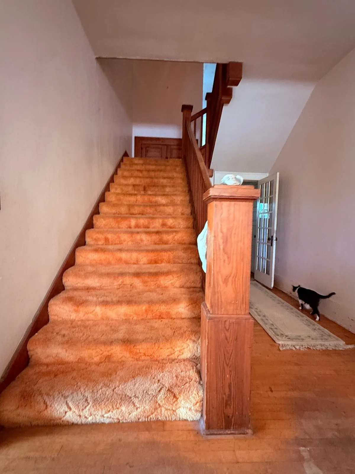 Single Family Residence For Sale in Mc Culloch County , 806 S Willow Street, Brady, Texas 76825, 5 Bedroom, 3 Bathroom, 2 Garage spaces, 4,570 Sqft, built in 1938, mls#21359339, Real Estate Agent in Brady, Homes For Sale in Mc Culloch county, Homes For Sale in Brady, Realtor in Brady Texas, Real Estate Brokerage Independent Realty Texas, Luminita Cordes Realtor