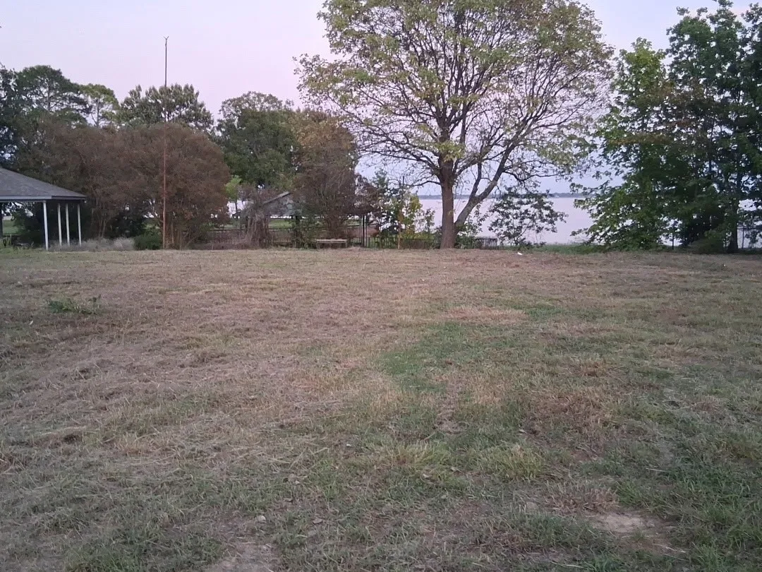 Front of the lot