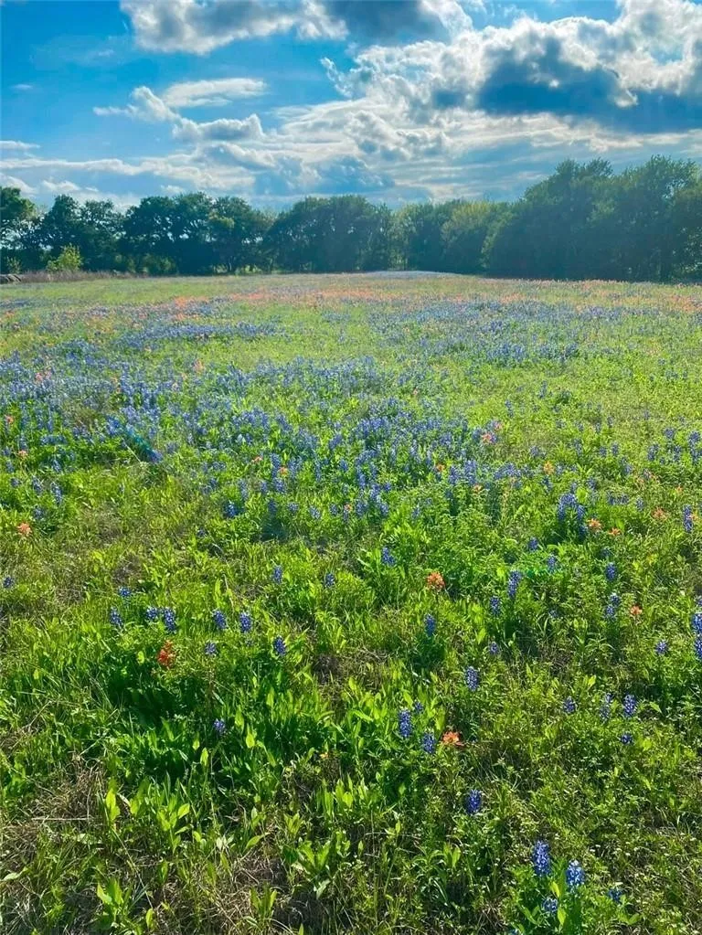 Unimproved Land For Sale in Mc Lennan County , TBD Kirkland Hill Road, Axtell, Texas 76624, 0, 0, Garage spaces, 0 Sqft, built in 0, Price $600,000, mls#21359466, Real Estate Agent in Axtell, Homes For Sale in Mc Lennan county, Homes For Sale in Axtell, Realtor in Axtell Texas, Real Estate Brokerage Independent Realty Texas, Luminita Cordes Realtor