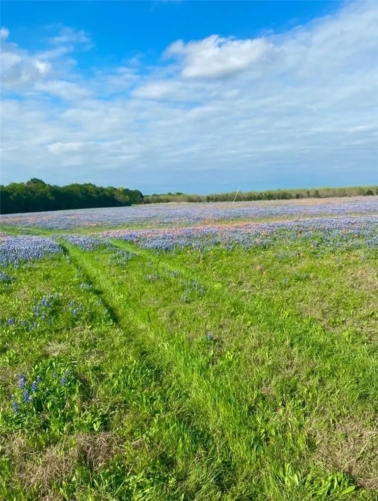 Unimproved Land For Sale in Mc Lennan County , TBD Kirkland Hill Road, Axtell, Texas 76624, 0, 0, Garage spaces, 0 Sqft, built in 0, Price $600,000, mls#21359466, Real Estate Agent in Axtell, Homes For Sale in Mc Lennan county, Homes For Sale in Axtell, Realtor in Axtell Texas, Real Estate Brokerage Independent Realty Texas, Luminita Cordes Realtor