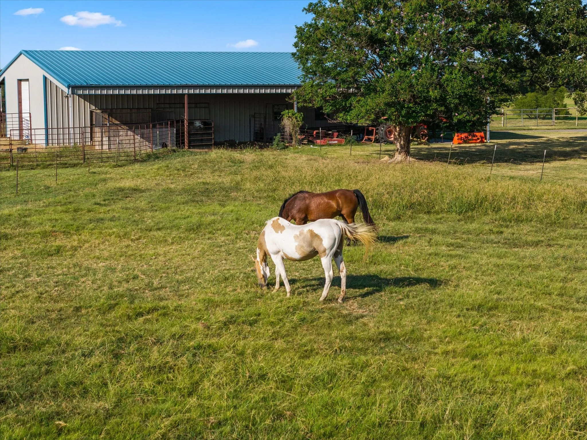 Single Family Residence For Sale in Rains County , 351 Rs County Road 3378, Emory, Texas 75440, 4 Bedroom, 3 Bathroom, 3 Garage spaces, 4,356 Sqft, built in 2006, mls#21359428, Real Estate Agent in Emory, Homes For Sale in Rains county, Homes For Sale in Emory, Realtor in Emory Texas, Real Estate Brokerage Independent Realty Texas, Luminita Cordes Realtor