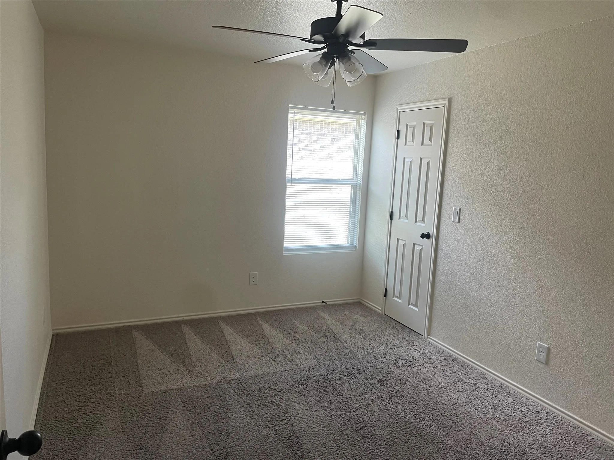 Neutral-toned walls and plush carpet flooring define this interior space