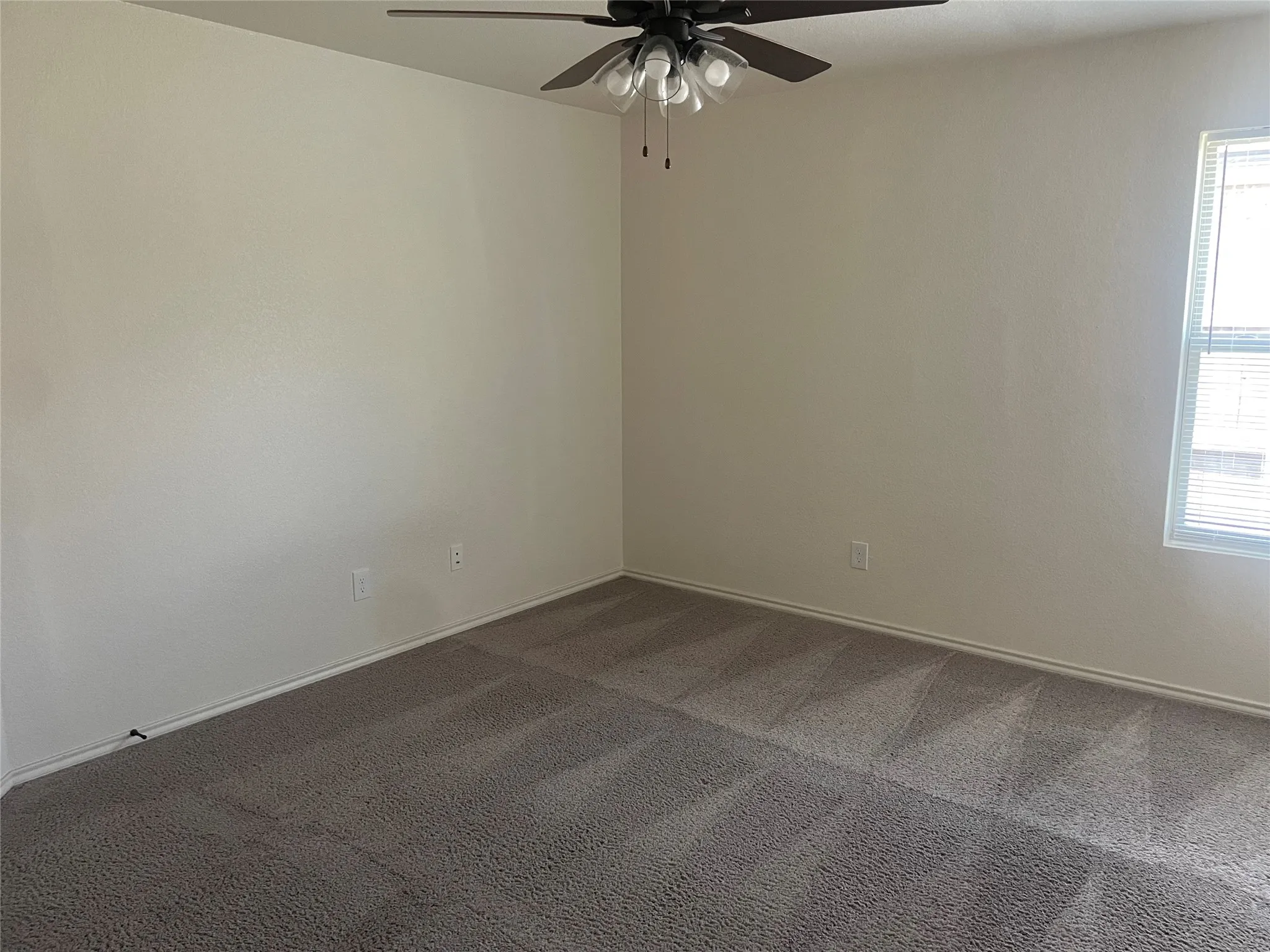 Bedroom featuring neutral-toned walls and plush carpeting