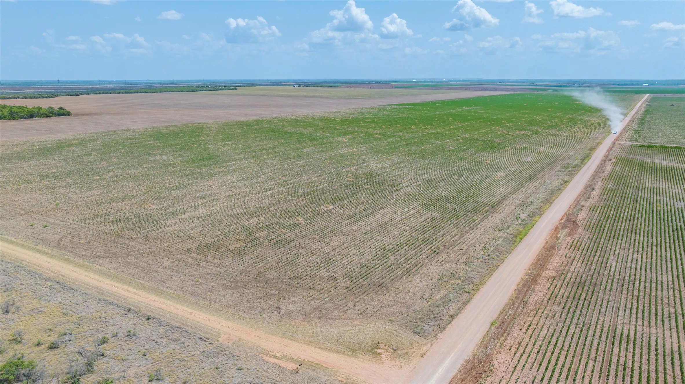 Ranch For Sale in Jones County , 11270 County Road 202, Avoca, Texas 79503, 0, 0, Garage spaces, 0 Sqft, built in 1930, Price $1,799,999, mls#21359432, Real Estate Agent in Avoca, Homes For Sale in Jones county, Homes For Sale in Avoca, Realtor in Avoca Texas, Real Estate Brokerage Independent Realty Texas, Luminita Cordes Realtor