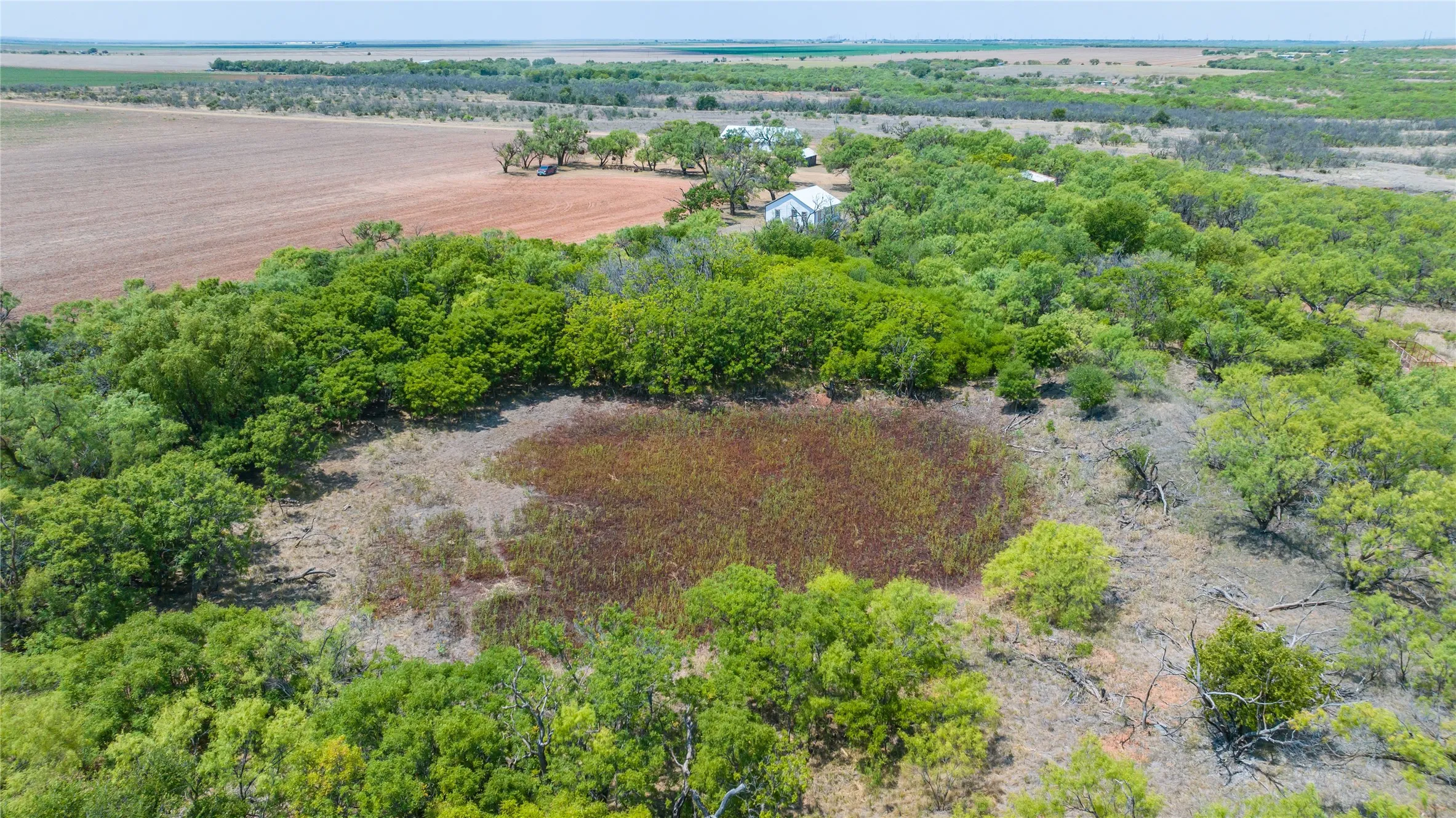 Ranch For Sale in Jones County , 11270 County Road 202, Avoca, Texas 79503, 0, 0, Garage spaces, 0 Sqft, built in 1930, Price $1,799,999, mls#21359432, Real Estate Agent in Avoca, Homes For Sale in Jones county, Homes For Sale in Avoca, Realtor in Avoca Texas, Real Estate Brokerage Independent Realty Texas, Luminita Cordes Realtor