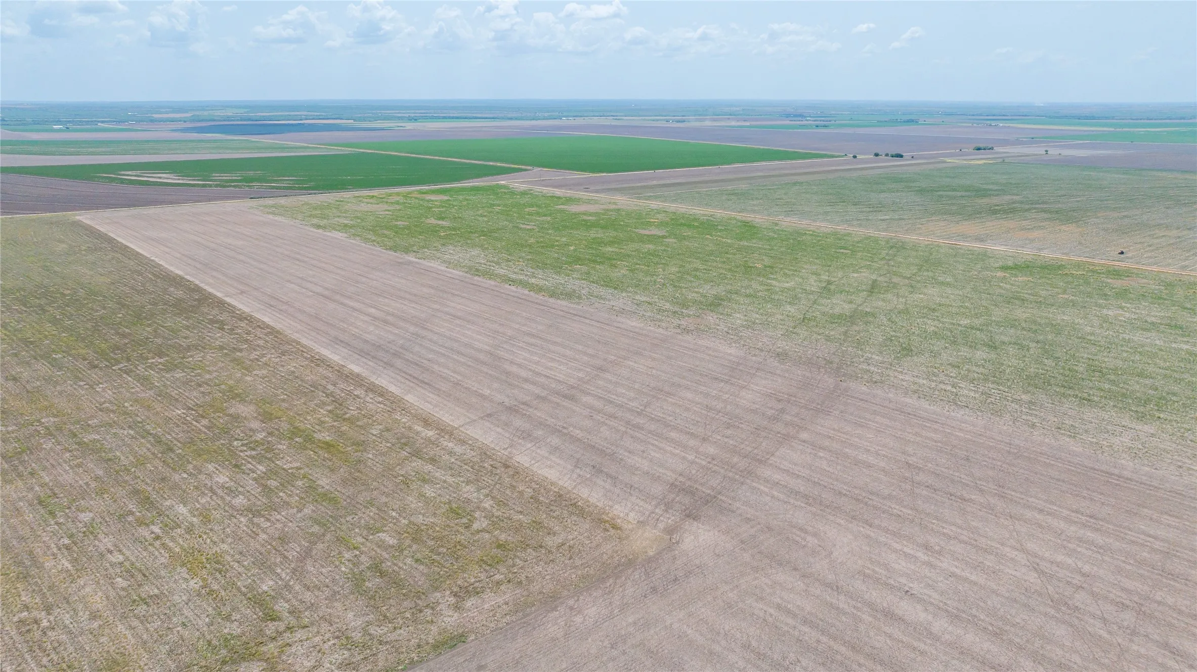 Ranch For Sale in Jones County , 11270 County Road 202, Avoca, Texas 79503, 0, 0, Garage spaces, 0 Sqft, built in 1930, Price $1,799,999, mls#21359432, Real Estate Agent in Avoca, Homes For Sale in Jones county, Homes For Sale in Avoca, Realtor in Avoca Texas, Real Estate Brokerage Independent Realty Texas, Luminita Cordes Realtor