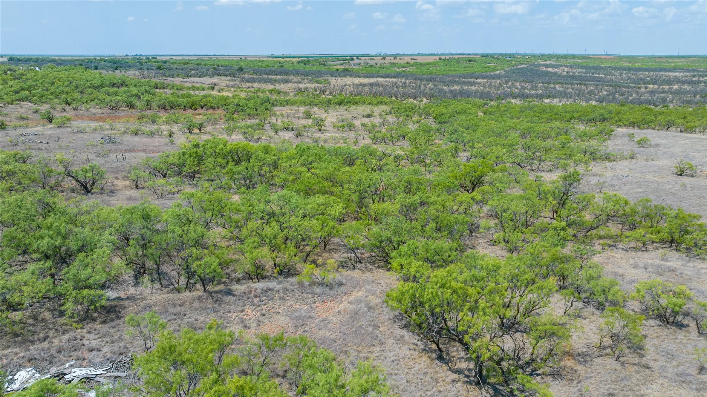 Ranch For Sale in Jones County , 11270 County Road 202, Avoca, Texas 79503, 0, 0, Garage spaces, 0 Sqft, built in 1930, Price $1,799,999, mls#21359432, Real Estate Agent in Avoca, Homes For Sale in Jones county, Homes For Sale in Avoca, Realtor in Avoca Texas, Real Estate Brokerage Independent Realty Texas, Luminita Cordes Realtor