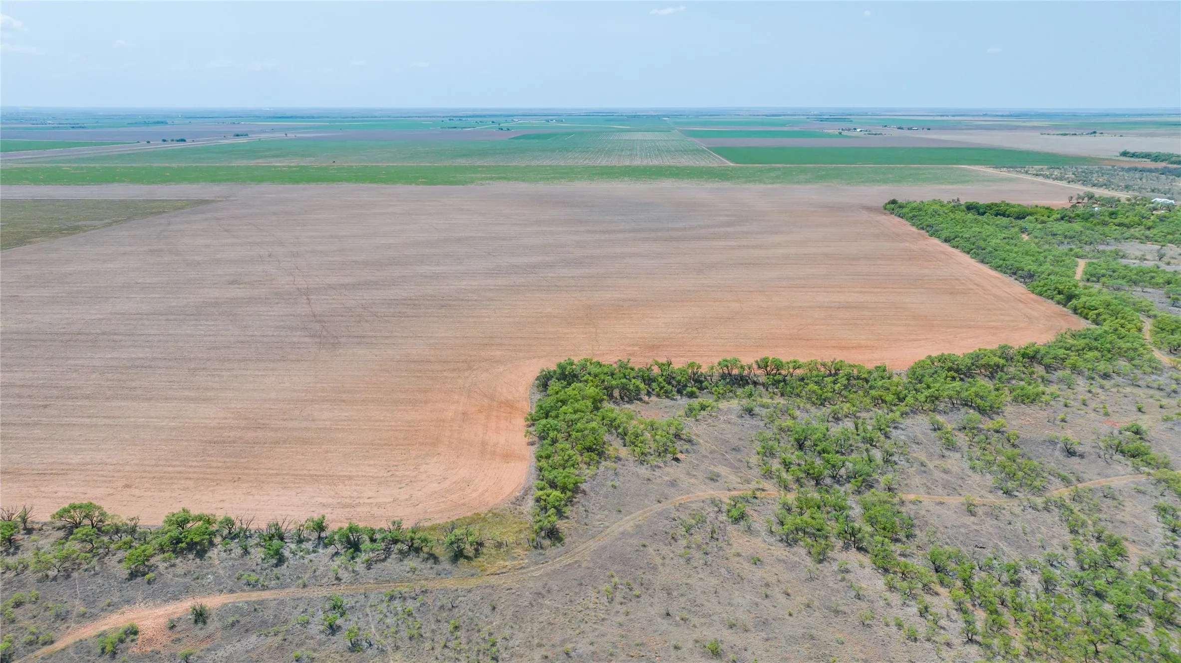 Ranch For Sale in Jones County , 11270 County Road 202, Avoca, Texas 79503, 0, 0, Garage spaces, 0 Sqft, built in 1930, Price $1,799,999, mls#21359432, Real Estate Agent in Avoca, Homes For Sale in Jones county, Homes For Sale in Avoca, Realtor in Avoca Texas, Real Estate Brokerage Independent Realty Texas, Luminita Cordes Realtor