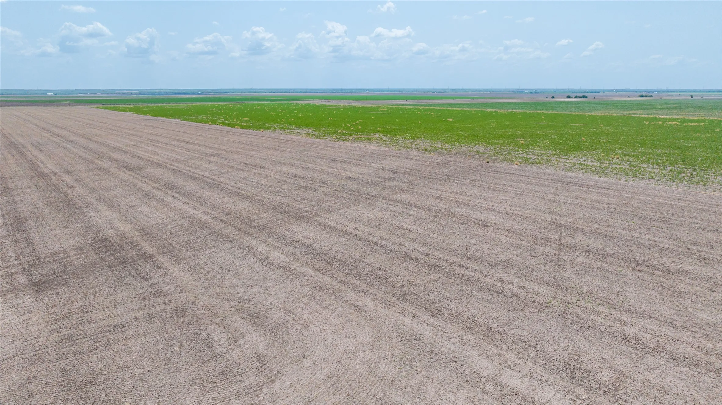 Ranch For Sale in Jones County , 11270 County Road 202, Avoca, Texas 79503, 0, 0, Garage spaces, 0 Sqft, built in 1930, Price $1,799,999, mls#21359432, Real Estate Agent in Avoca, Homes For Sale in Jones county, Homes For Sale in Avoca, Realtor in Avoca Texas, Real Estate Brokerage Independent Realty Texas, Luminita Cordes Realtor