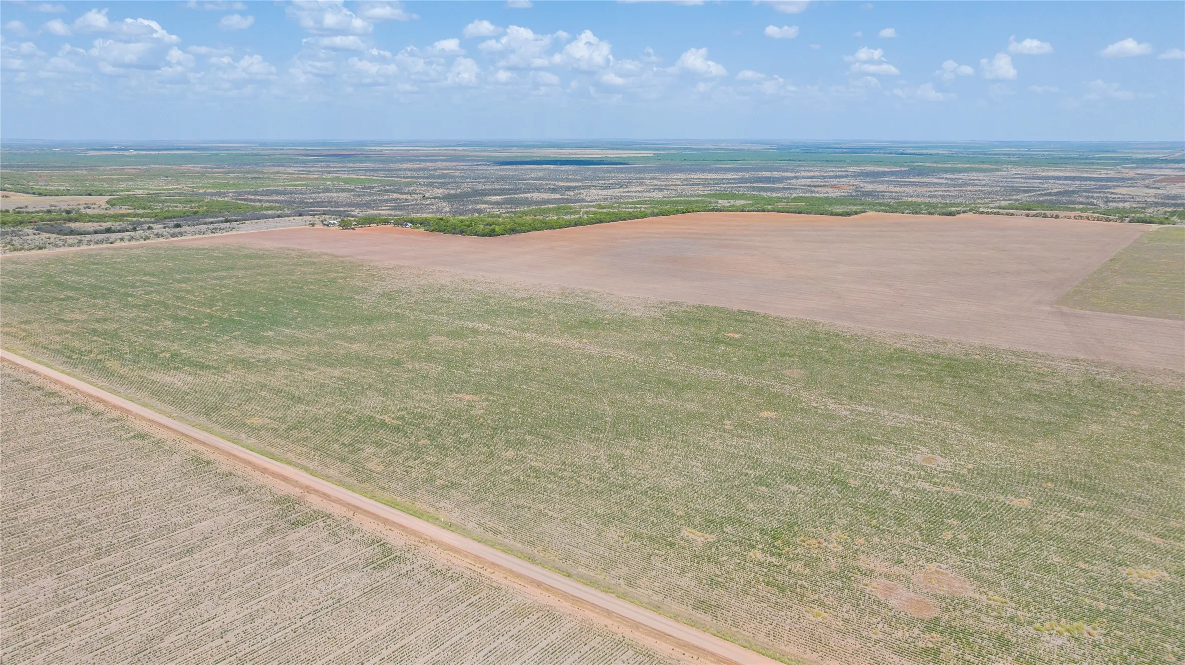 Ranch For Sale in Jones County , 11270 County Road 202, Avoca, Texas 79503, 0, 0, Garage spaces, 0 Sqft, built in 1930, Price $1,799,999, mls#21359432, Real Estate Agent in Avoca, Homes For Sale in Jones county, Homes For Sale in Avoca, Realtor in Avoca Texas, Real Estate Brokerage Independent Realty Texas, Luminita Cordes Realtor