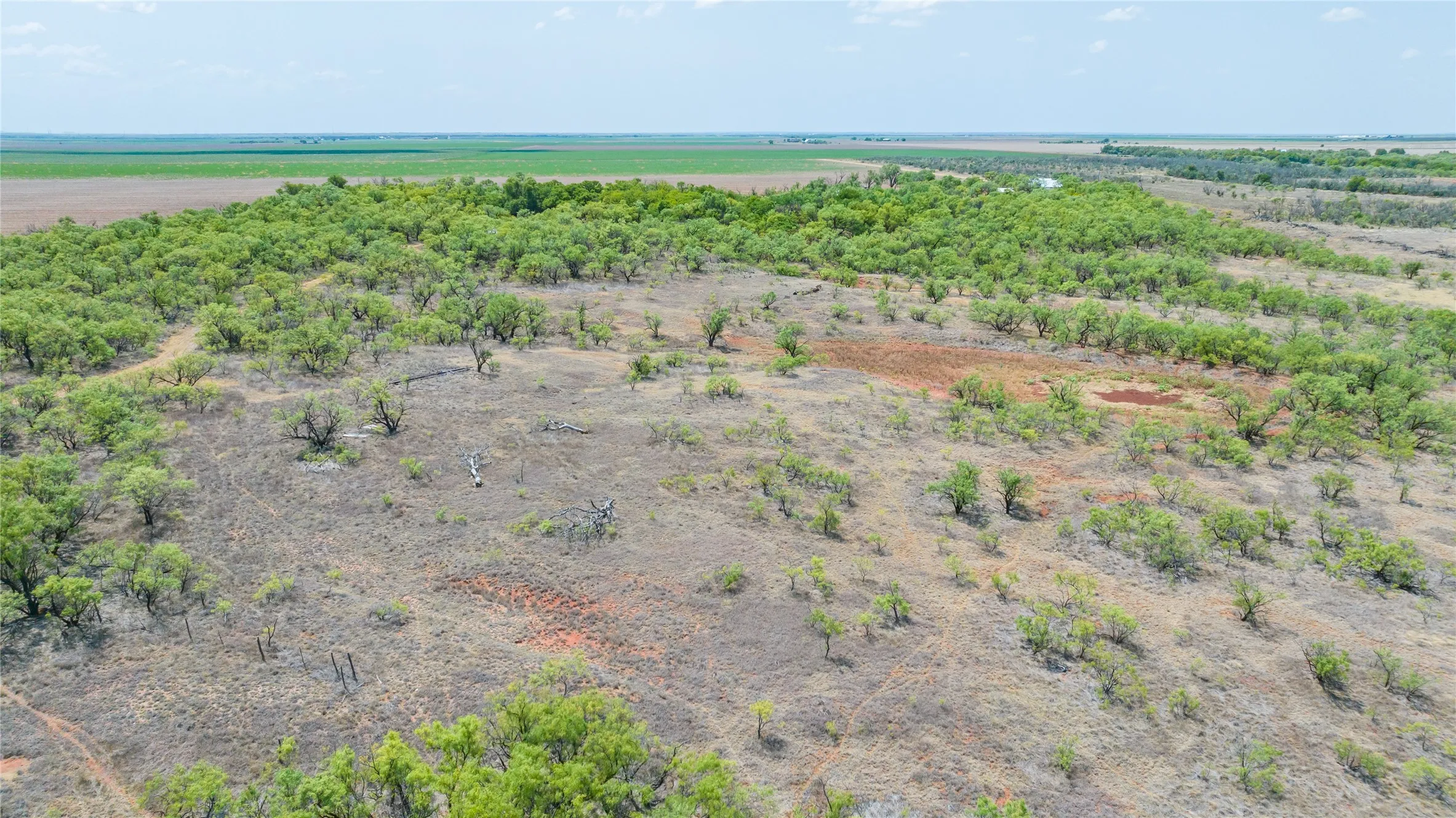 Ranch For Sale in Jones County , 11270 County Road 202, Avoca, Texas 79503, 0, 0, Garage spaces, 0 Sqft, built in 1930, Price $1,799,999, mls#21359432, Real Estate Agent in Avoca, Homes For Sale in Jones county, Homes For Sale in Avoca, Realtor in Avoca Texas, Real Estate Brokerage Independent Realty Texas, Luminita Cordes Realtor