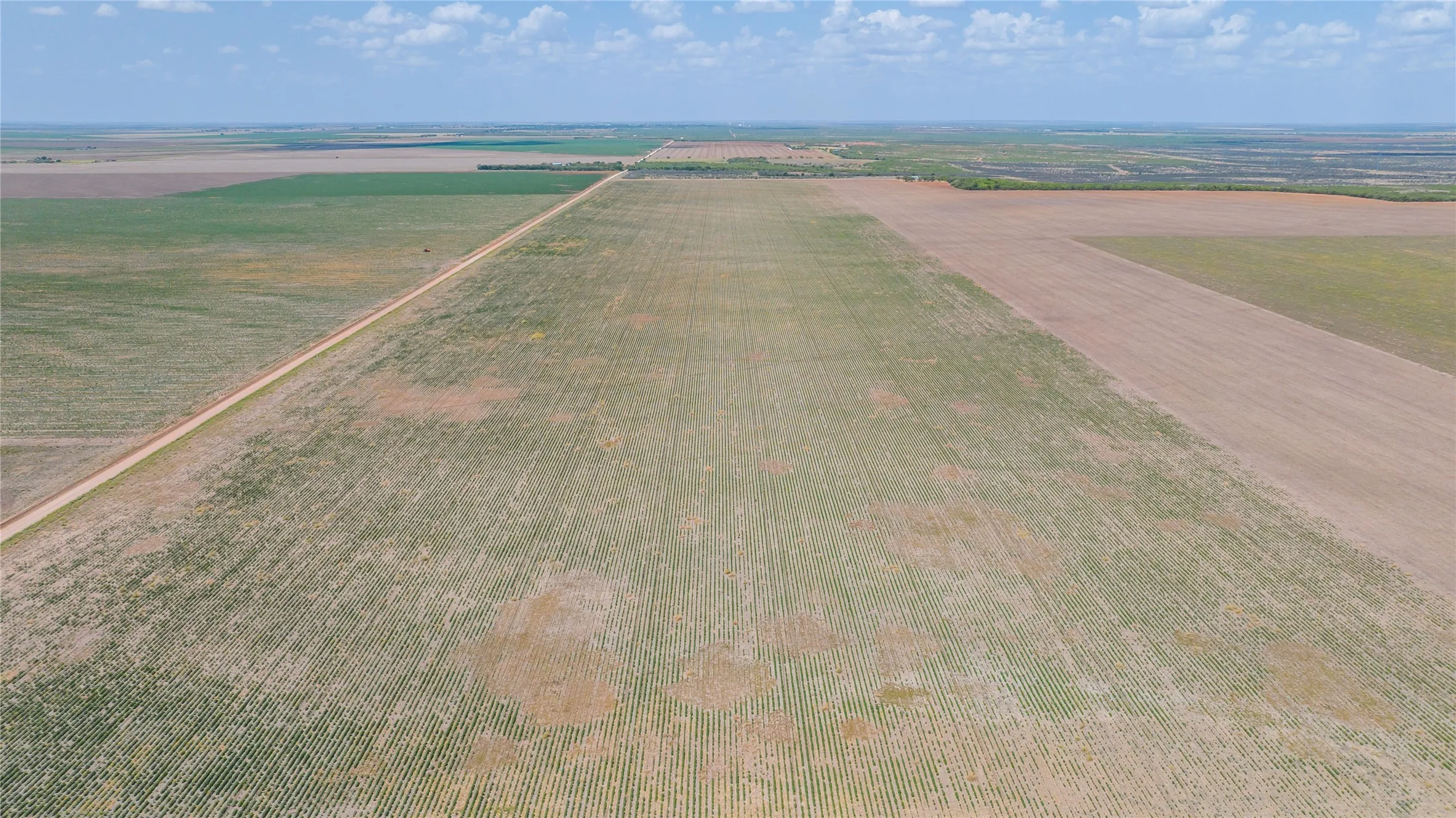 Ranch For Sale in Jones County , 11270 County Road 202, Avoca, Texas 79503, 0, 0, Garage spaces, 0 Sqft, built in 1930, Price $1,799,999, mls#21359432, Real Estate Agent in Avoca, Homes For Sale in Jones county, Homes For Sale in Avoca, Realtor in Avoca Texas, Real Estate Brokerage Independent Realty Texas, Luminita Cordes Realtor