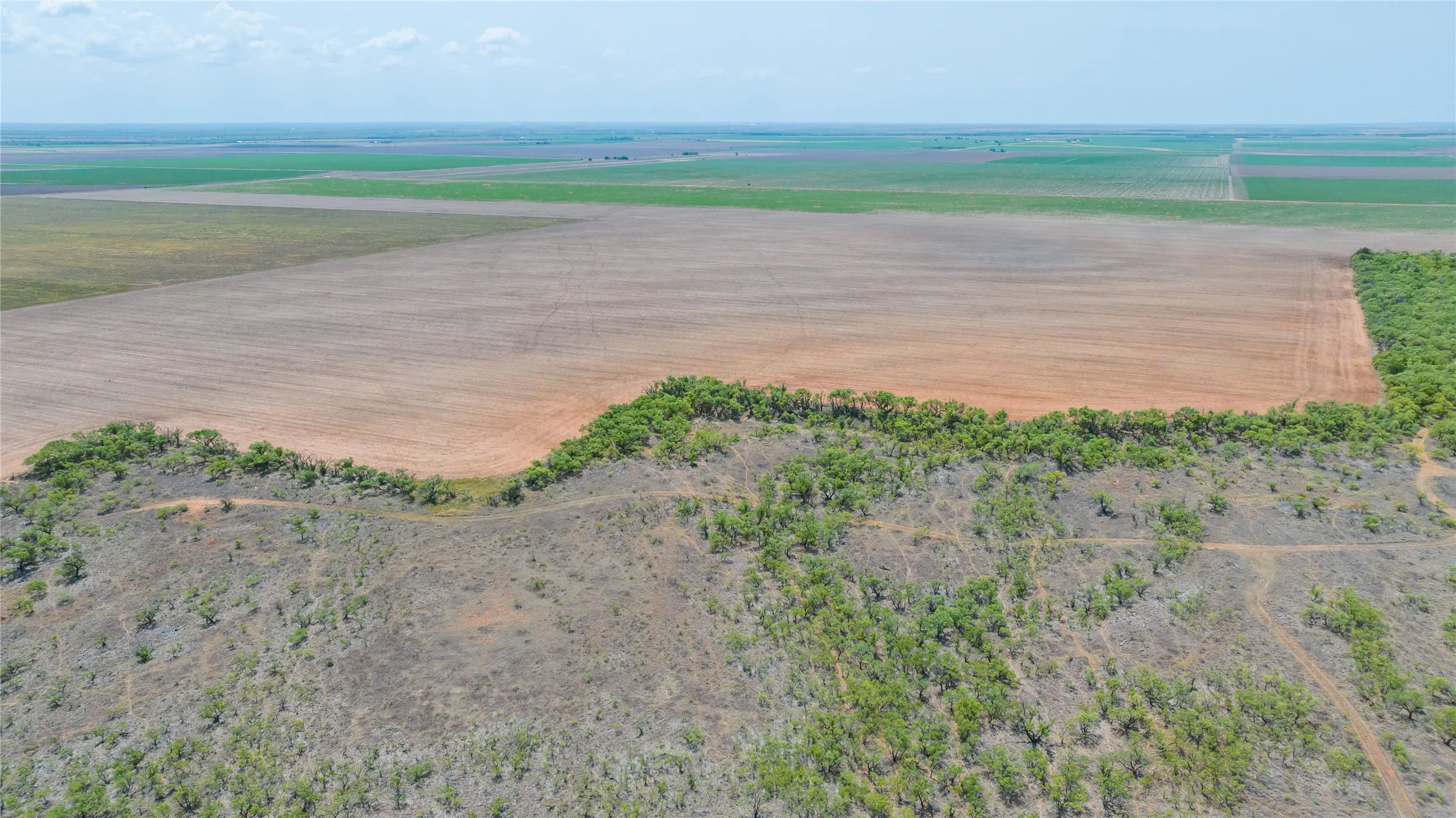 Ranch For Sale in Jones County , 11270 County Road 202, Avoca, Texas 79503, 0, 0, Garage spaces, 0 Sqft, built in 1930, Price $1,799,999, mls#21359432, Real Estate Agent in Avoca, Homes For Sale in Jones county, Homes For Sale in Avoca, Realtor in Avoca Texas, Real Estate Brokerage Independent Realty Texas, Luminita Cordes Realtor