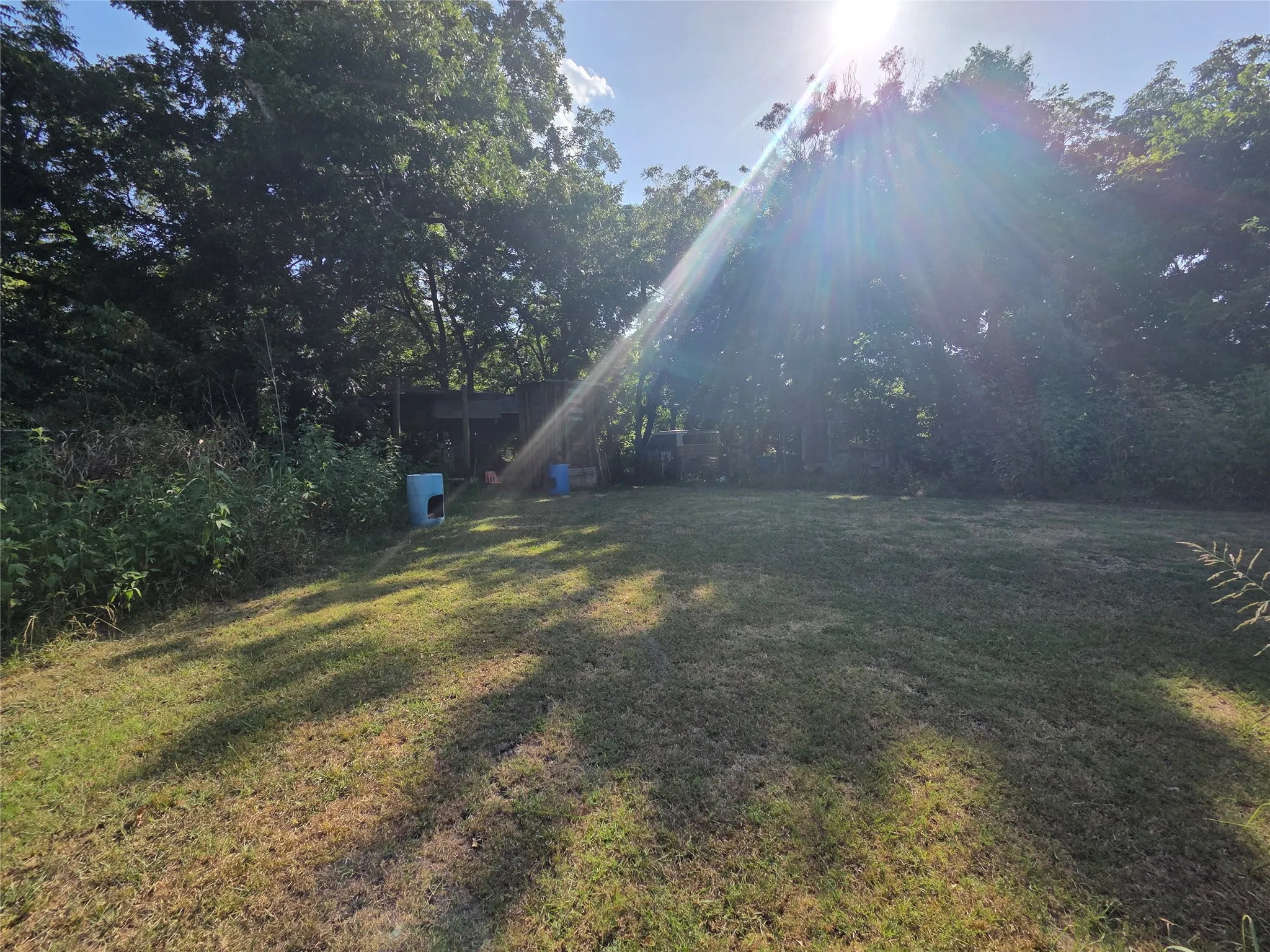 Expansive rear yard with natural landscaping and mature trees