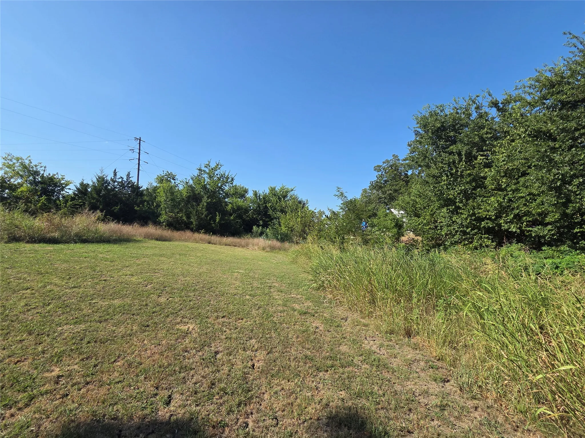 Expansive land parcel with natural landscaping, mature trees, and a clear sky backdrop