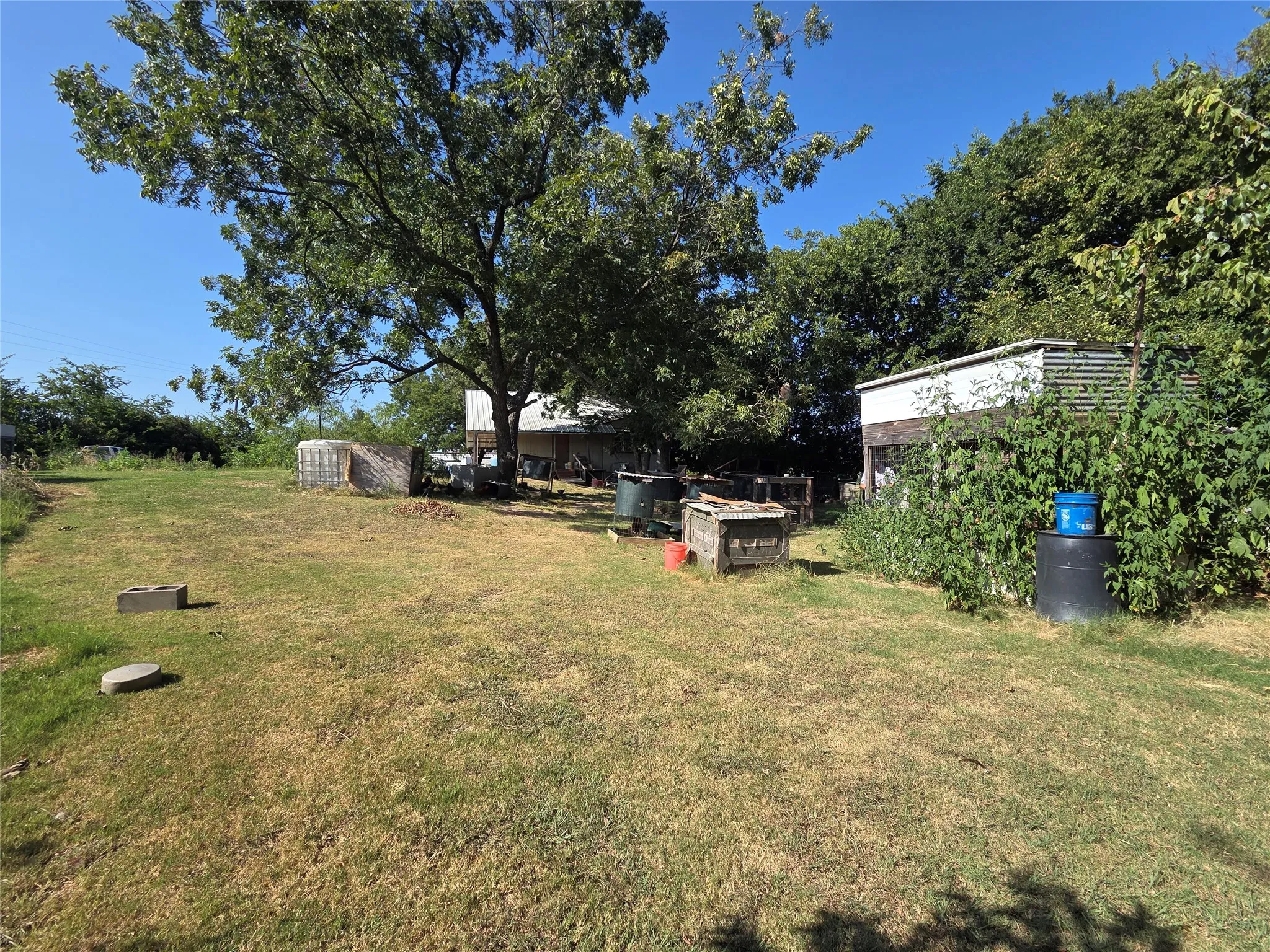 Expansive grassy area with mature trees and a secondary structure with a metal roof