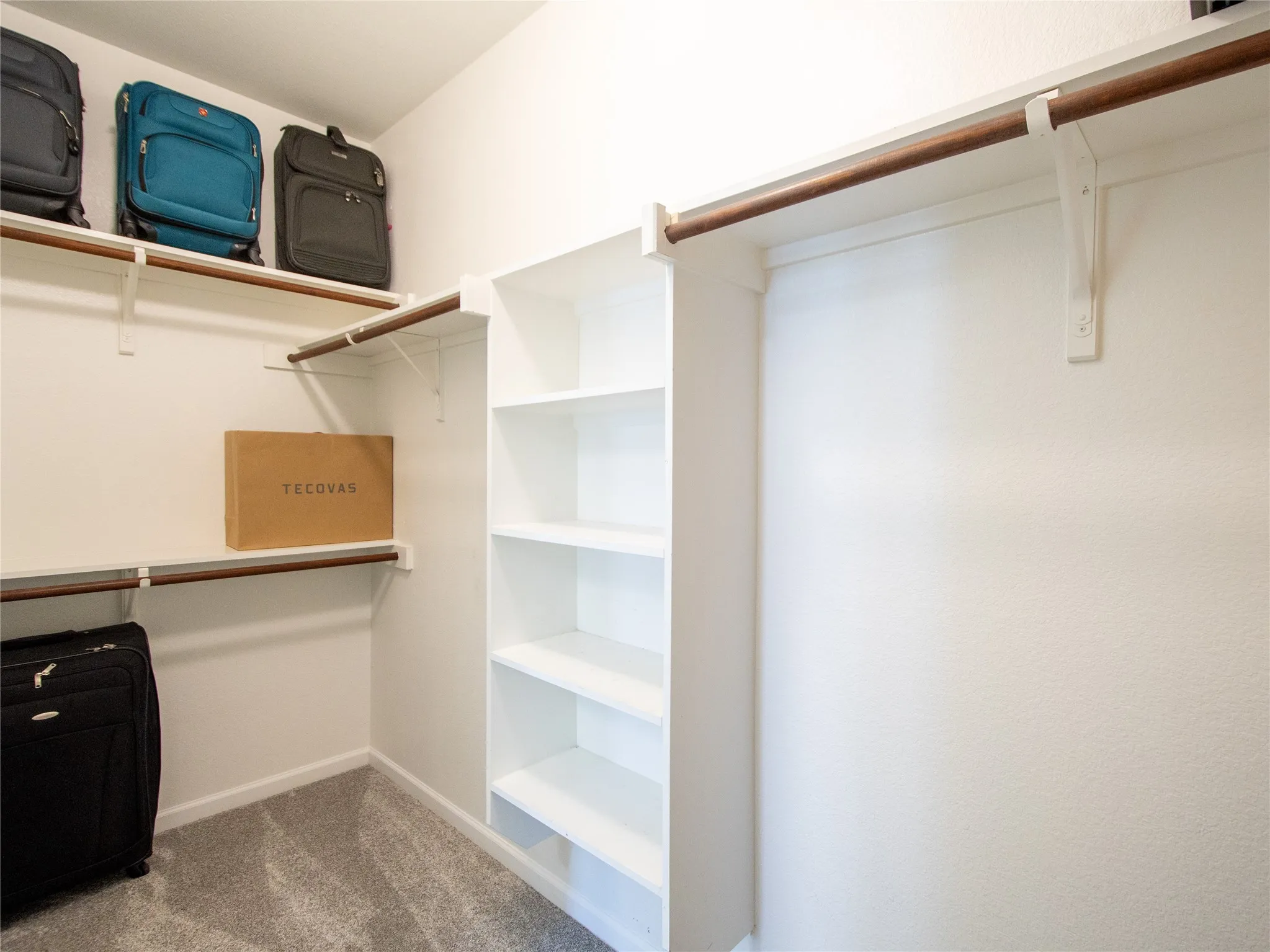 Walk-in closet featuring built-in shelving, multiple hanging rods, and carpet flooring