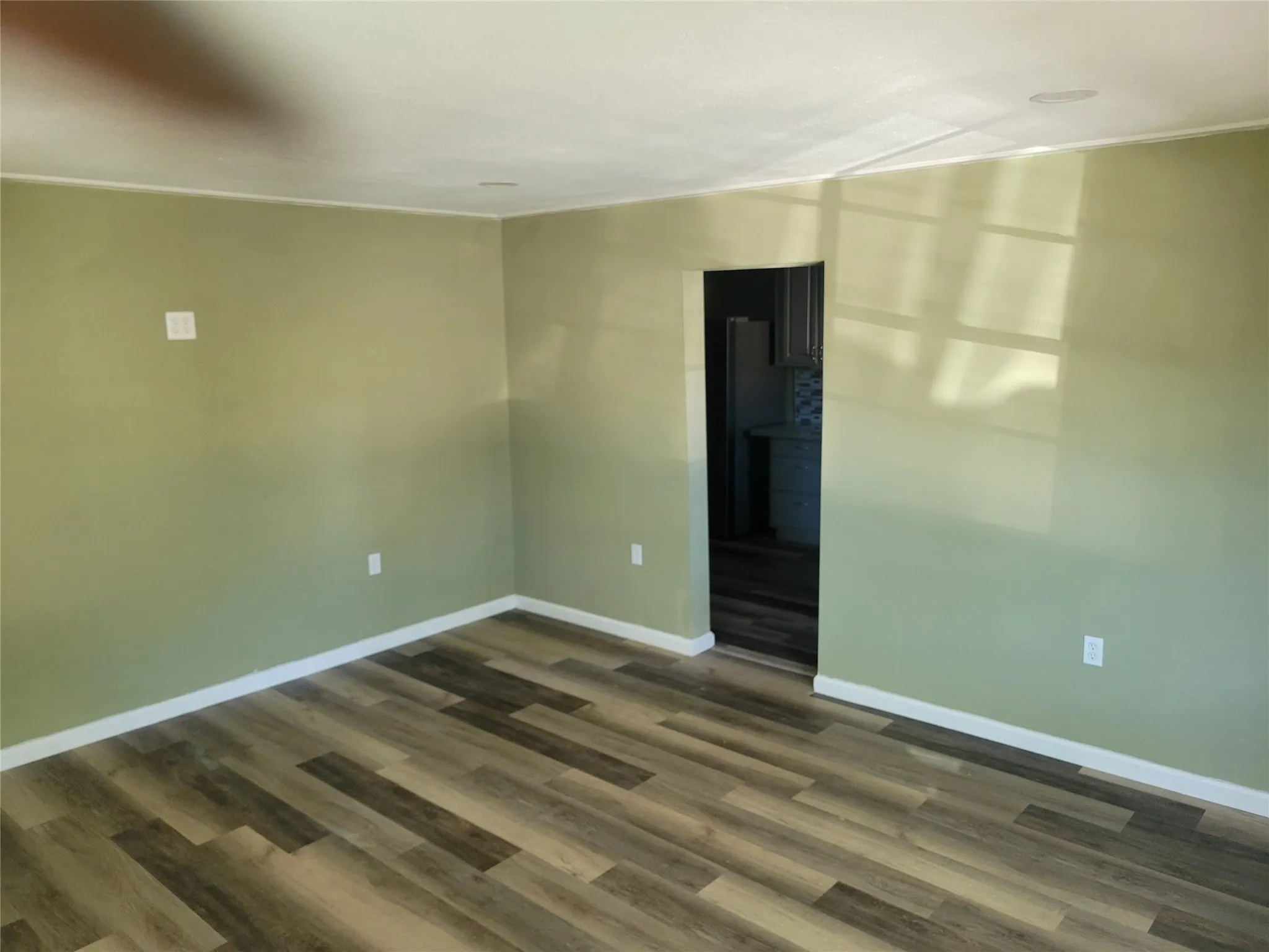 Wood-finish flooring throughout, light green wall finishes, and ceiling-mounted lighting