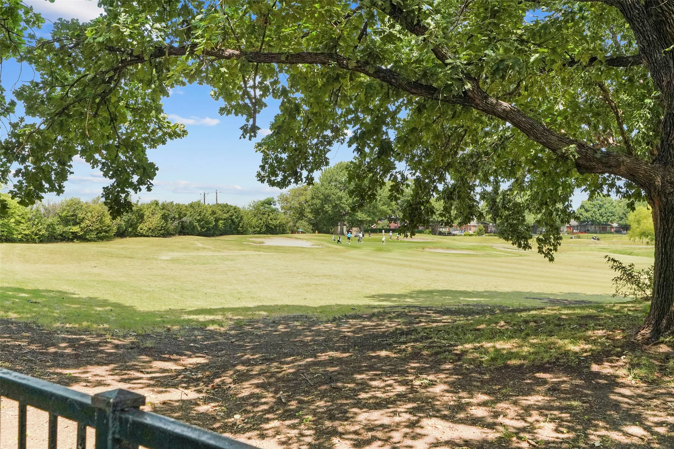 Expansive green space featuring a large lawn area and mature trees