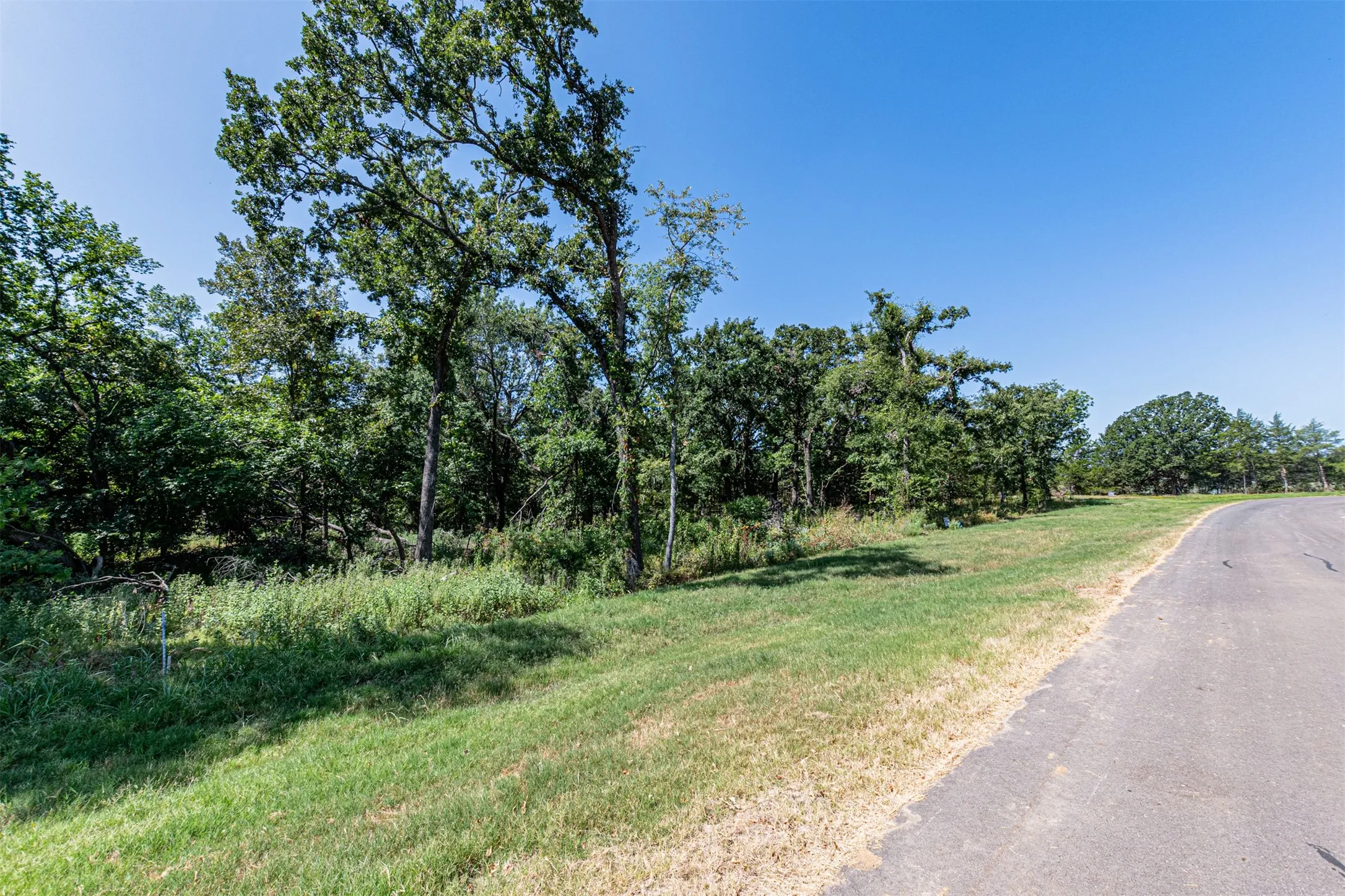 Scenic acreage featuring a paved driveway, mature hardwood and oak trees, and expansive open grounds with natural landscaping