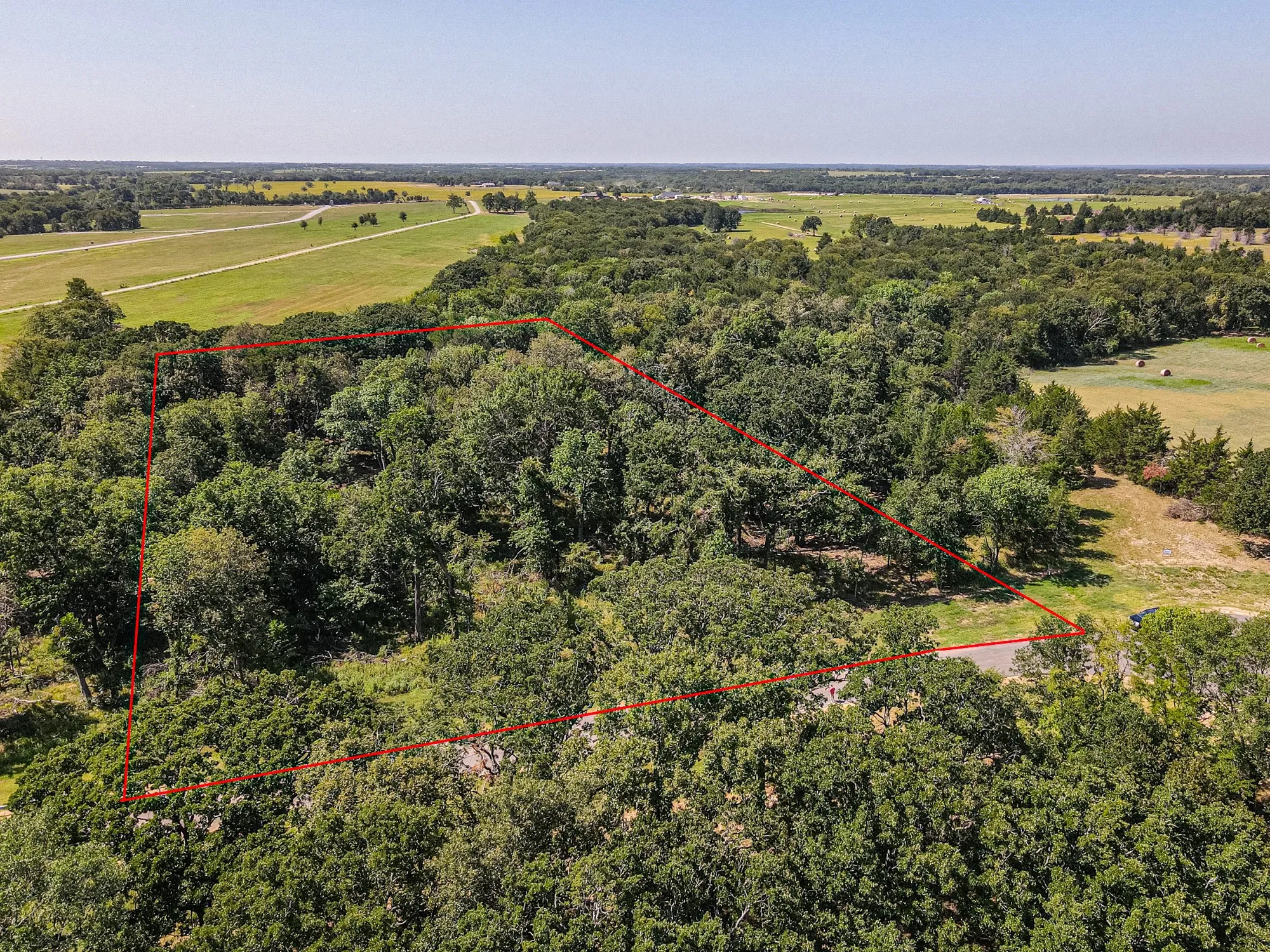 Expansive wooded acreage featuring mature trees and a clear perimeter