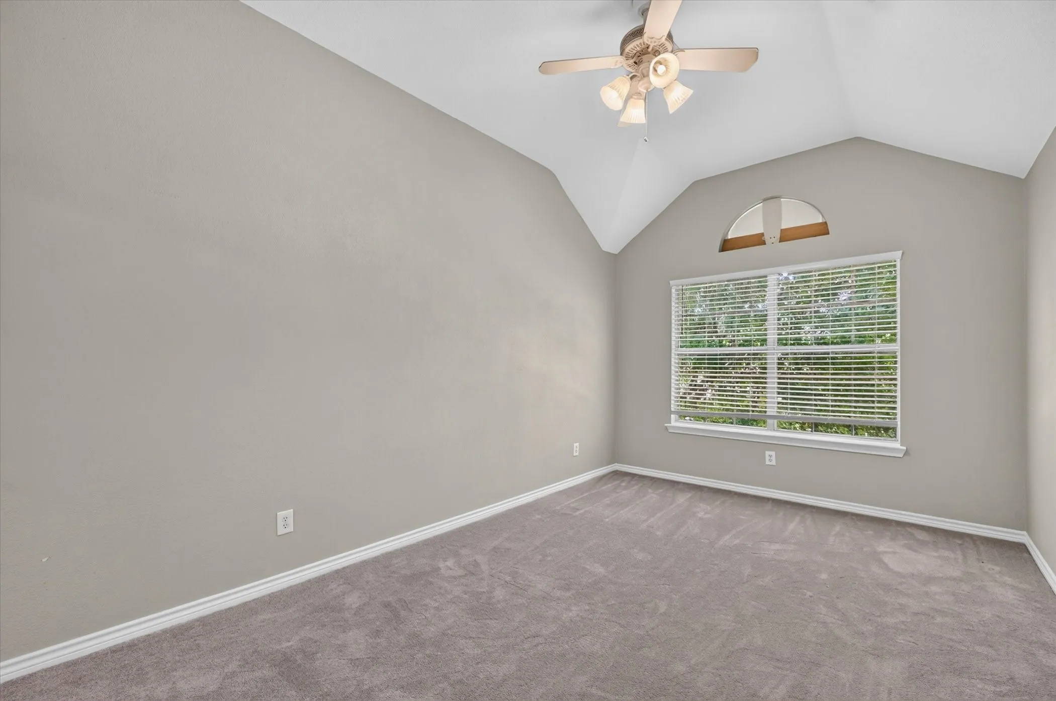 Brand new carpet