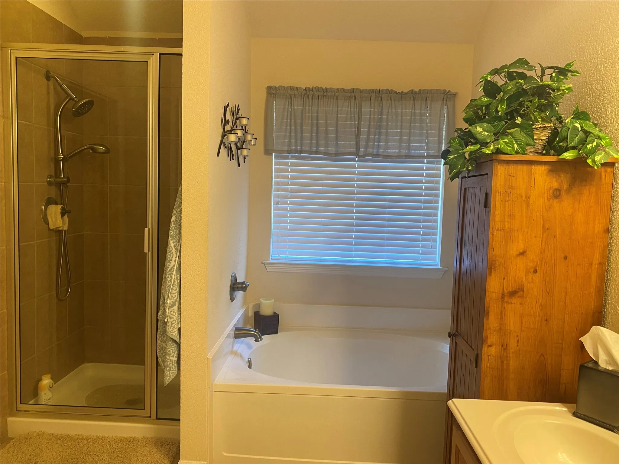 Single Family Residence For Sale in Parker County , 2250 Kaitlyn Drive, Weatherford, Texas 76087, 4 Bedroom, 2 Bathroom, 2 Garage spaces, 1,760 Sqft, built in 2008, mls#21359463, Real Estate Agent in Weatherford, Homes For Sale in Parker county, Homes For Sale in Weatherford, Realtor in Weatherford Texas, Real Estate Brokerage Independent Realty Texas, Luminita Cordes Realtor