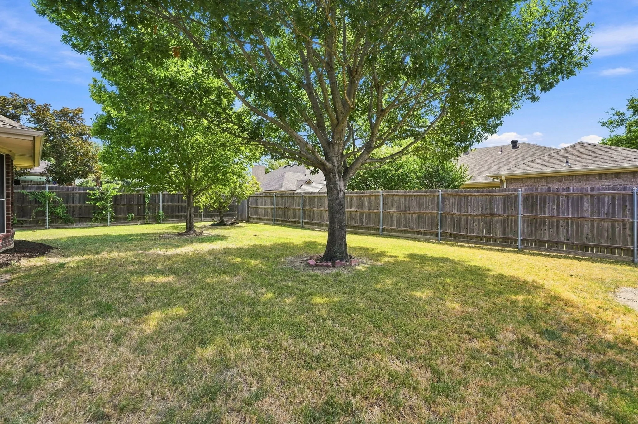 Wonderful shade with a fruit bearing peach tree