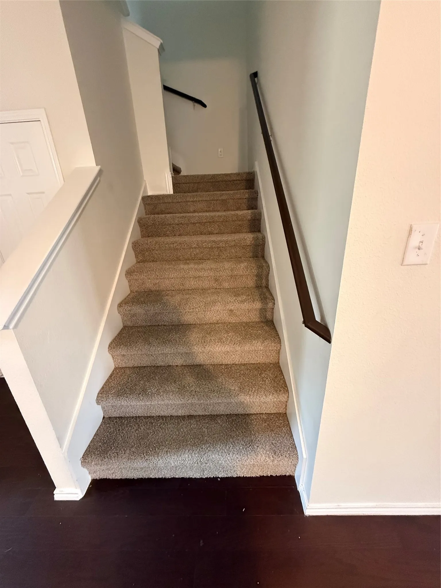 Carpeted staircase with dark wood-finish handrails and white risers