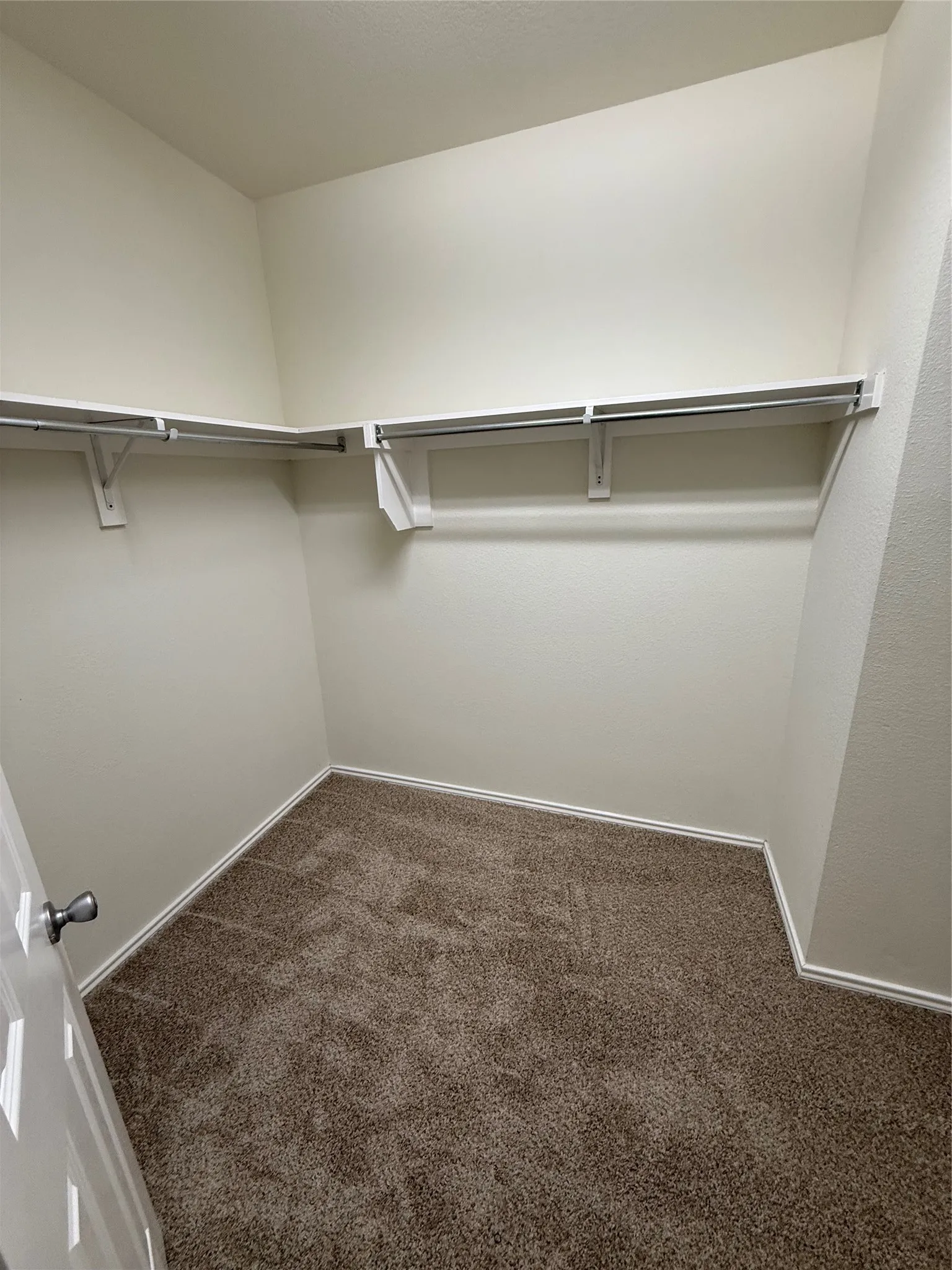 Custom closet shelving with integrated hanging rods and plush carpet flooring