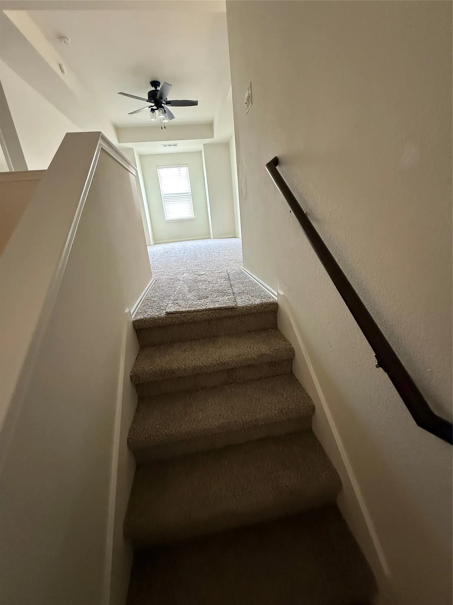 Carpeted staircase with wall-mounted handrail leading to a carpeted upper landing