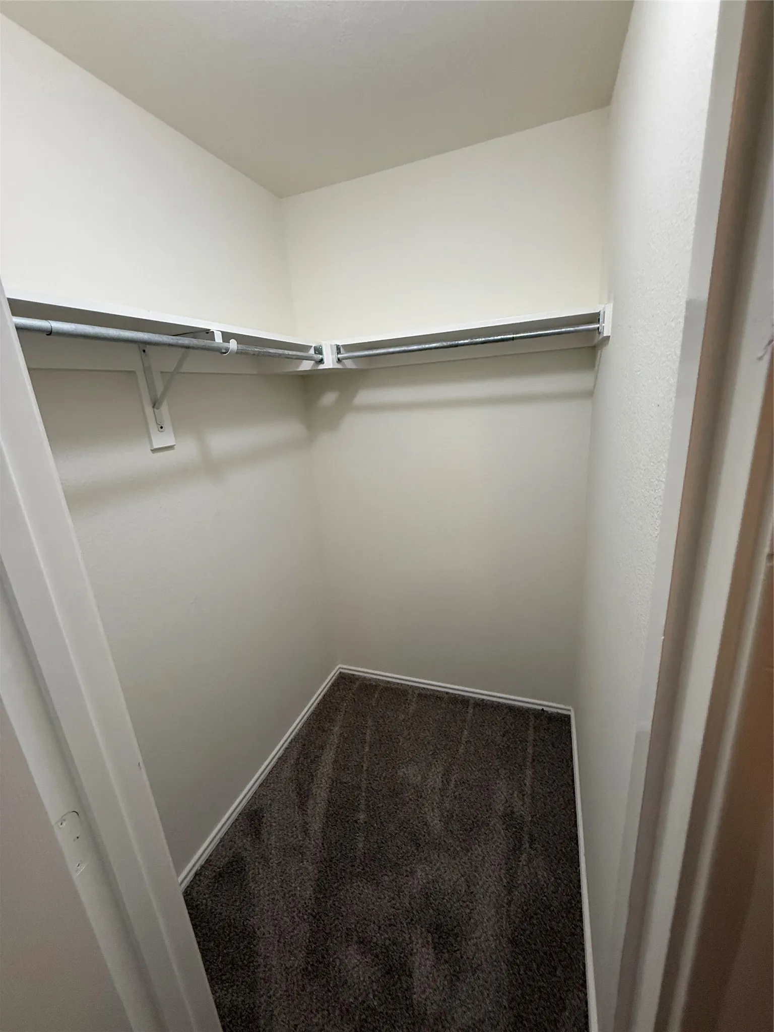 White painted walls, integrated shelving, and carpeted flooring