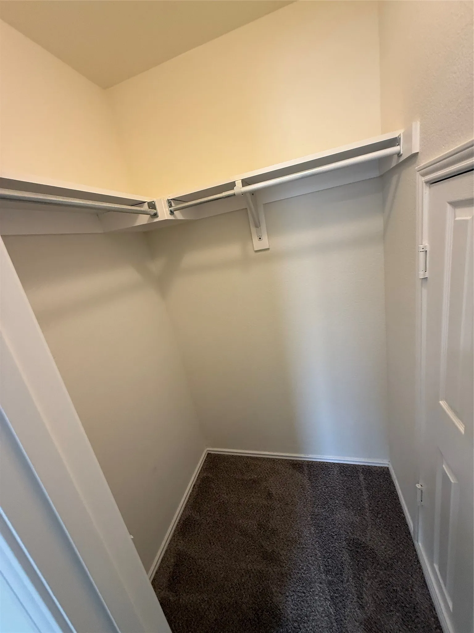 Closet with light-colored walls, white shelving, white hanging rods, and dark carpet flooring