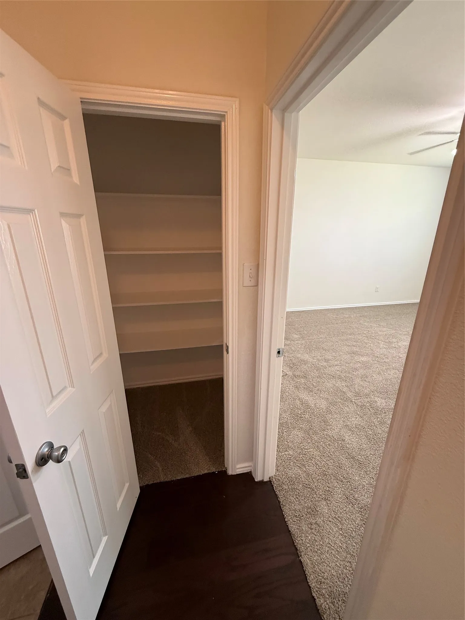 Built-in shelving, dark wood-finish flooring, and light-toned carpet