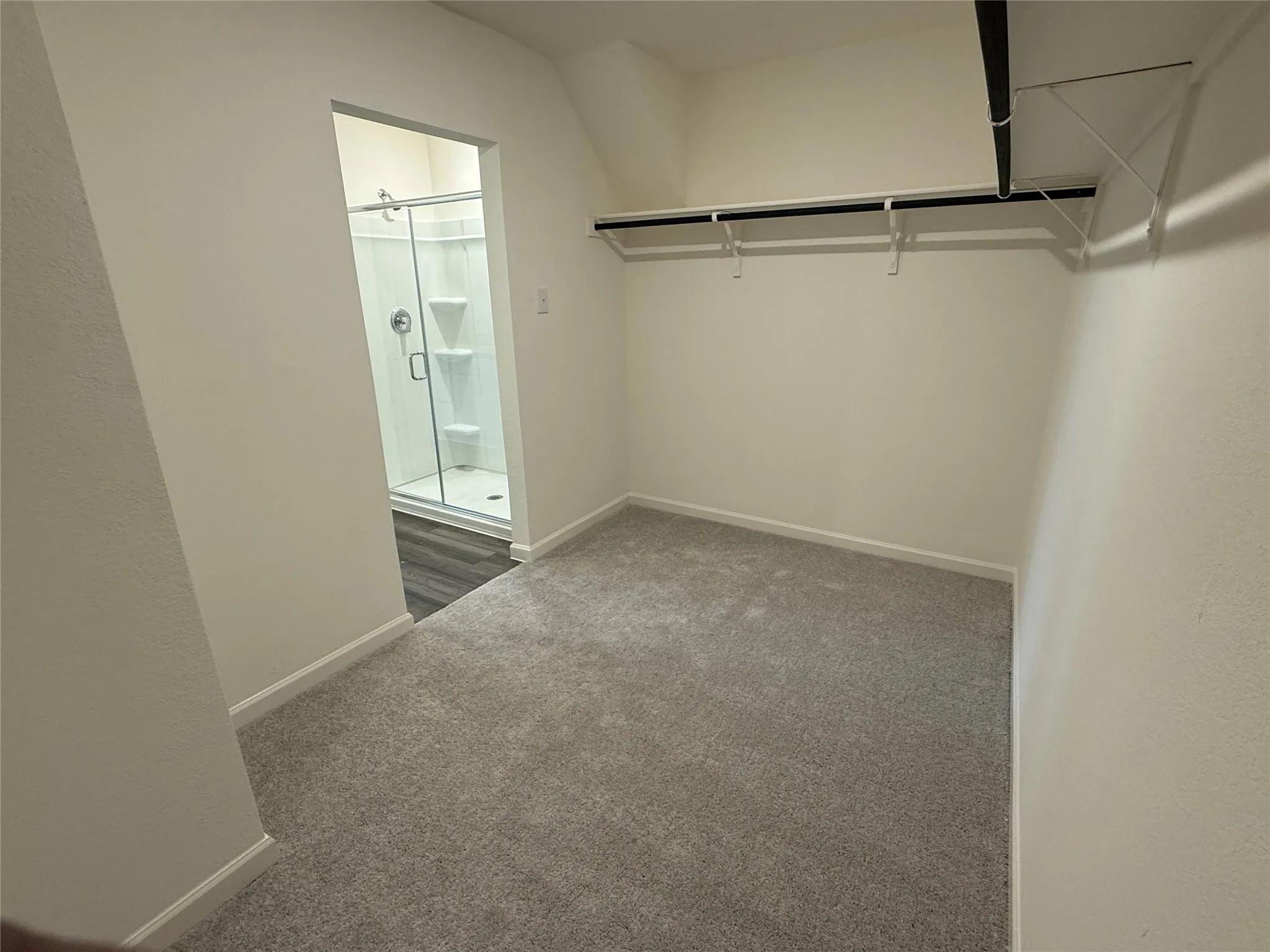 Carpeted room with a built-in closet system and a full bathroom featuring a glass-enclosed shower and wood-finish flooring