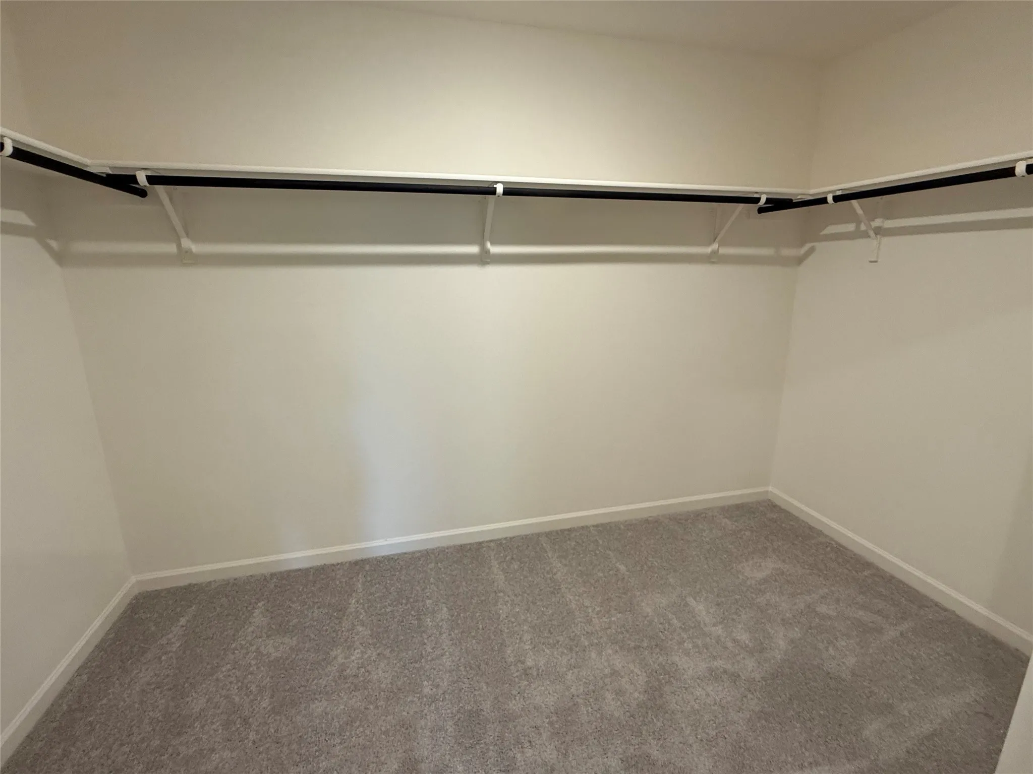 Walk-in closet with wall-mounted shelving and clothing rods, light gray carpeting, and neutral wall tones