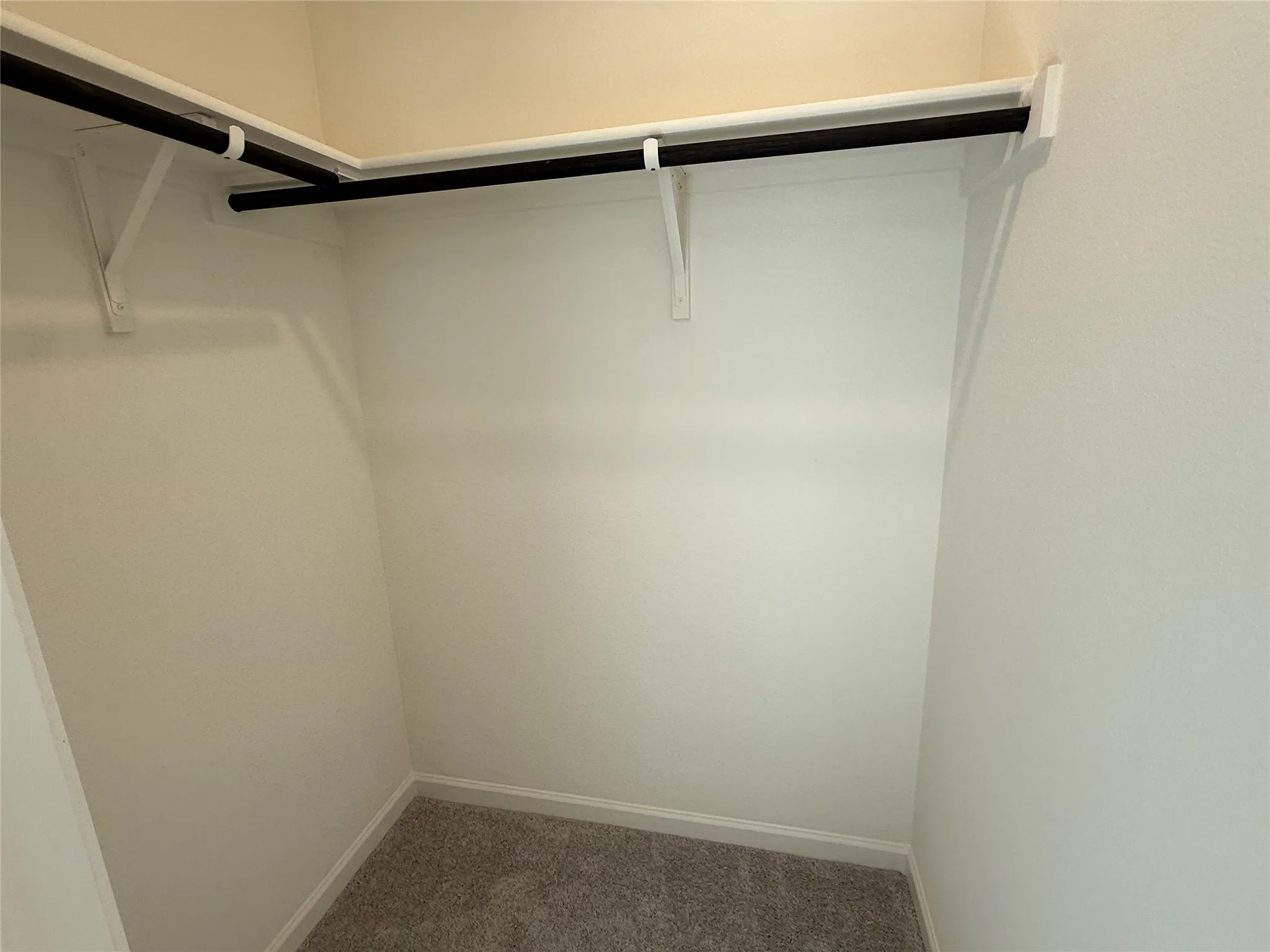 Walk-in closet with carpet flooring, white walls, and built-in shelving with hanging rods