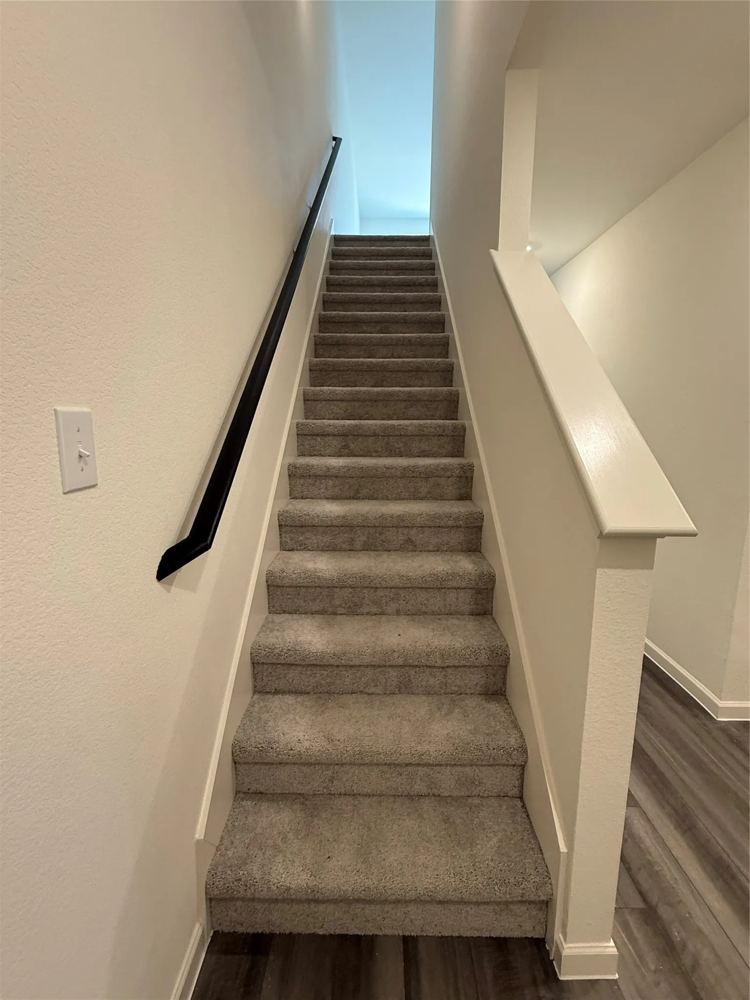 Carpeted staircase with a dark-finished handrail, light-colored walls, and wood-finish flooring at the base