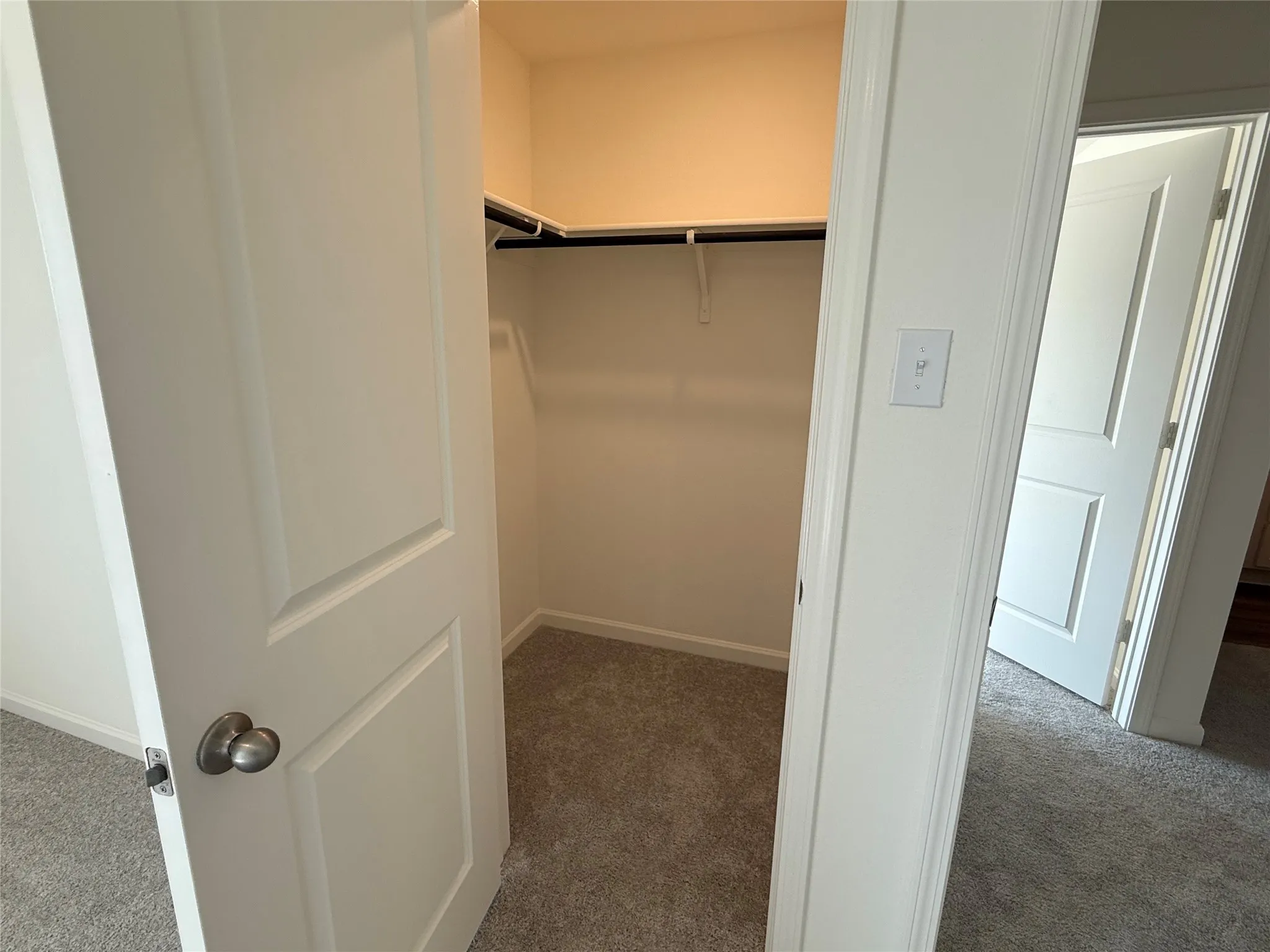 Built-in closet with carpet flooring, shelving, and a hanging rod